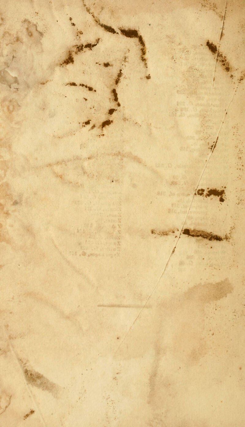 ^4^ it ' i # '-/y / ■*t'