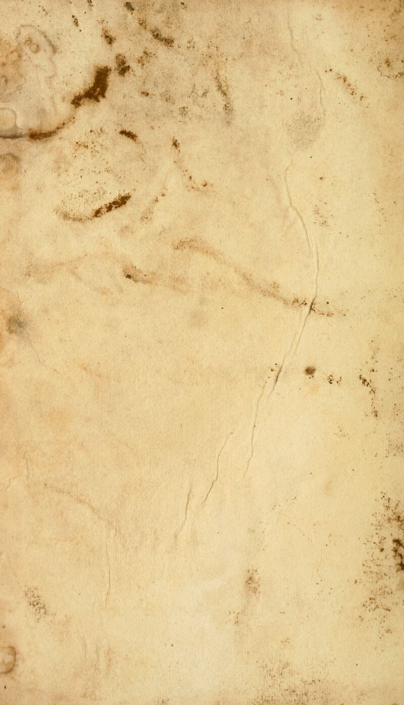 m^ ,.v^ -n-' -^ ^■•,