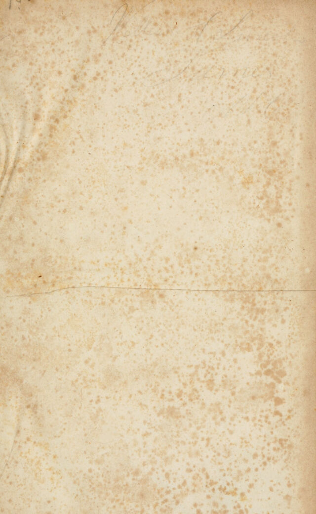 digitised image 3