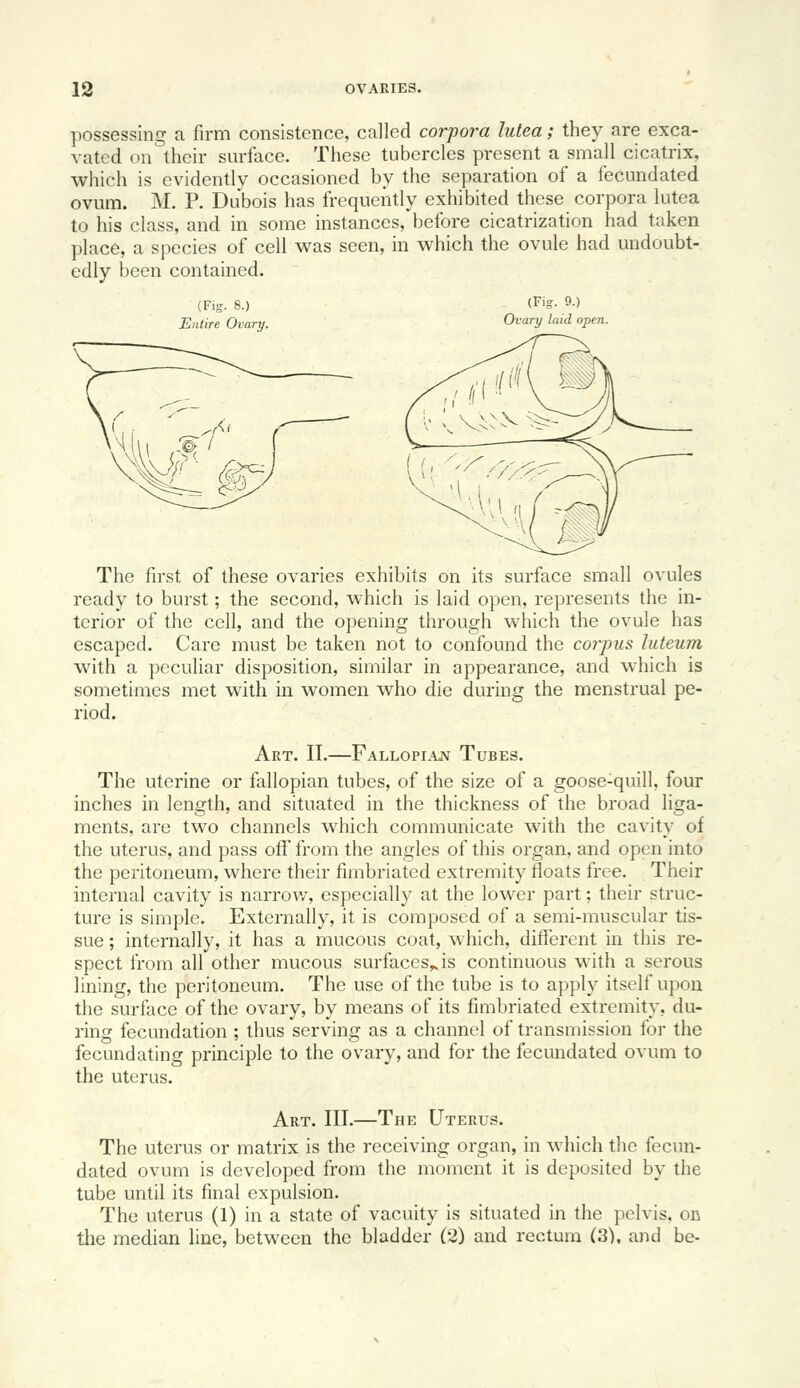 possessing a firm consistence, called corpora lutea; they are exca- vated on their surface. These tubercles present a small cicatrix, which is evidently occasioned by the separation of a fecundated ovum. M. P. Dubois has frequently exhibited these corpora lutea to his class, and in some instances, before cicatrization had taken place, a species of cell was seen, in which the ovule had undoubt- edly been contained. (Fig. 8.) Entire Ovary. (Fig. 9.) Ovary laid open. The first of these ovaries exhibits on its surface small ovules ready to burst; the second, which is laid open, represents the in- terior of the cell, and the opening through which the ovule has escaped. Care must be taken not to confound the corpus luteum with a peculiar disposition, similar in appearance, and which is sometimes met with in women who die during the menstrual pe- riod. Art. II.—Fallopiajv Tubes. The uterine or fallopian tubes, of the size of a goose-quill, four inches in length, and situated in the thickness of the broad liga- ments, are two channels which communicate with the cavity of the uterus, and pass off from the angles of this organ, and open into the peritoneum, where their fimbriated extremity floats free. Their internal cavity is narrov/, especially at the lower part; their struc- ture is simple. Externally, it is composed of a semi-muscular tis- sue ; internally, it has a mucous coat, which, different in this re- spect from all other mucous surfaces^is continuous with a serous lining, the peritoneum. The use of the tube is to apply itself upon the surface of the ovary, by means of its fimbriated extremity, du- ring fecundation ; thus serving as a channel of transmission for the fecundating principle to the ovary, and for the fecundated ovum to the uterus. Art. III.—The Uterus. The uterus or matrix is the receiving organ, in which the fecun- dated ovum is developed from the moment it is deposited by the tube until its final expulsion. The uterus (1) in a state of vacuity is situated in the pelvis, on the median line, between the bladder (2) and rectum (3), and be-