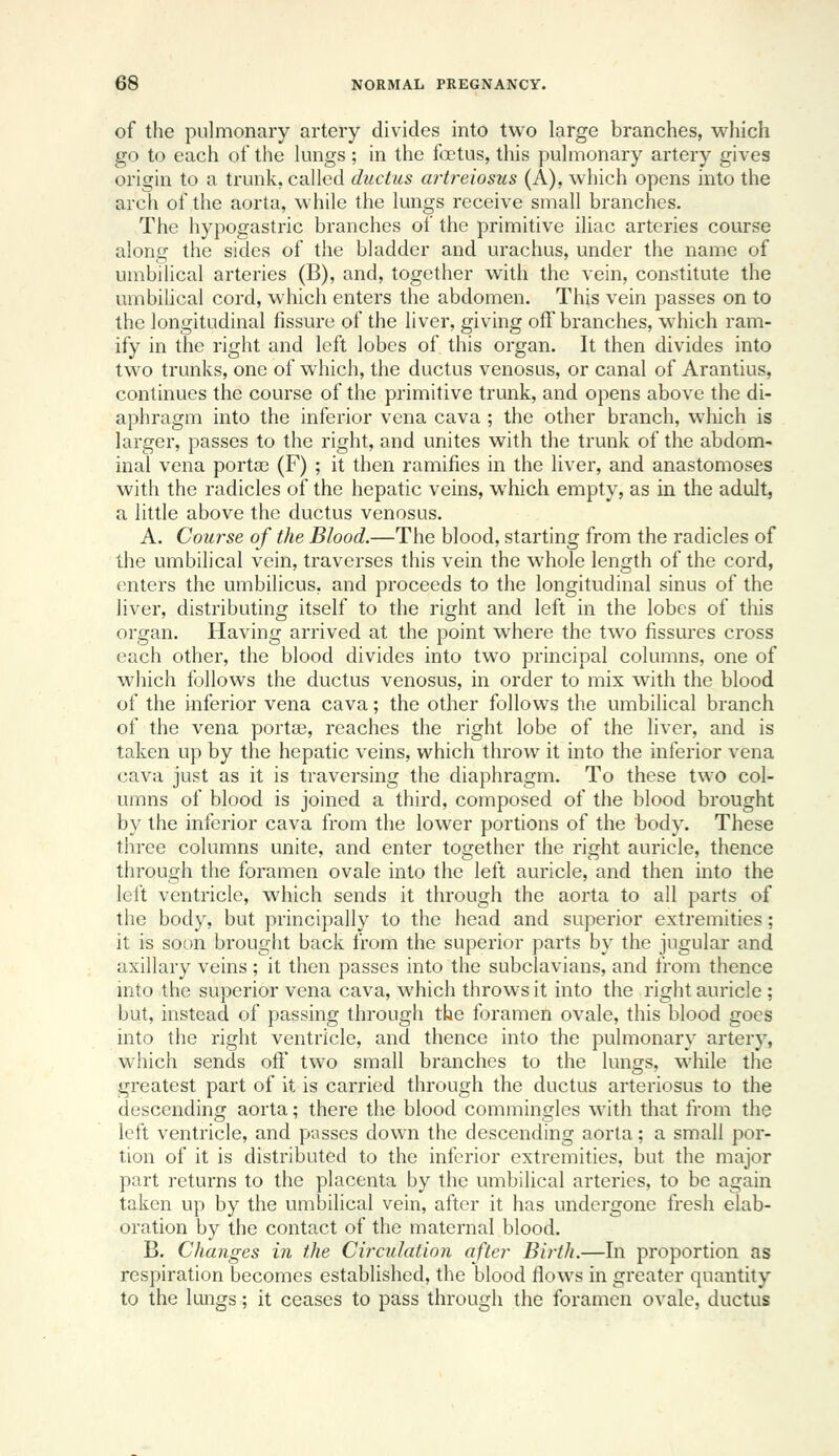 of the pulmonary artery divides into two large branches, which go to each of the lungs ; in the foetus, this pulmonary artery gives origin to a trunk, called ductus artrelosus (A), which opens into the arch of the aorta, while the lungs receive small branches. The hypogastric branches of the primitive iliac arteries course along the sides of the bladder and urachus, under the name of umbilical arteries (B), and, together with the vein, constitute the umbilical cord, which enters the abdomen. This vein passes on to the longitudinal fissure of the liver, giving off branches, which ram- ify in the right and left lobes of this organ. It then divides into two trunks, one of which, the ductus venosus, or canal of Arantius, continues the course of the primitive trunk, and opens above the di- aphragm into the inferior vena cava ; the other branch, which is larger, passes to the right, and unites with the trunk of the abdom- inal vena porta3 (F) ; it then ramifies in the liver, and anastomoses with the radicles of the hepatic veins, which empty, as in the adult, a little above the ductus venosus. A. Course of the Blood.—The blood, starting from the radicles of the umbilical vein, traverses this vein the whole length of the cord, (niters the umbilicus, and proceeds to the longitudinal sinus of the liver, distributing itself to the right and left in the lobes of this organ. Having arrived at the point where the two fissures cross each other, the blood divides into two principal columns, one of which follows the ductus venosus, in order to mix with the blood of the inferior vena cava; the other follows the umbilical branch of the vena porta?, reaches the right lobe of the liver, and is taken up by the hepatic veins, which throw it into the inferior vena cava just as it is traversing the diaphragm. To these two col- umns of blood is joined a third, composed of the blood brought by the inferior cava from the lower portions of the body. These three columns unite, and enter together the right auricle, thence through the foramen ovale into the left auricle, and then into the left ventricle, which sends it through the aorta to all parts of the body, but principally to the head and superior extremities; it is soon brought back from the superior parts by the jugular and axillary veins ; it then passes into the subclavians, and from thence nito the superior vena cava, which throws it into the right auricle ; but, instead of passing through the foramen ovale, this blood goes into the right ventricle, and thence into the pulmonary artery, which sends off two small branches to the lungs, while the greatest part of it is carried through the ductus arteriosus to the descending aorta; there the blood commingles with that from the left ventricle, and passes down the descending aorta; a small por- tion of it is distributed to the inferior extremities, but the major part returns to the placenta by the umbilical arteries, to be again taken up by the umbilical vein, after it has undergone fresh elab- oration by the contact of the maternal blood. B. Changes in the Circulation after Birth.—In proportion as respiration becomes established, the blood flows in greater quantity to the lungs; it ceases to pass through the foramen ovale, ductus