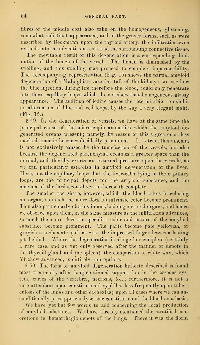 fibres of the middle coat also take on the homogeneous, glistening, somewhat indistinct appearance, and in the graver forms, such as were described by Beckmann upon the thyroid artery, the infiltration even extends into the adventitious coat and the surrounding connective tissue. The inevitable result of this degeneration is a corresponding dimi- nution of the lumen of the vessel. The lumen is diminished by the swelling, and this swelling may proceed to complete impermeability. The accompanying representation (Fig. 15) shows the partial amyloid degeneration of a Malpighian vascular tuft of the kidney; we see how the blue injection, during life therefore the blood, could only penetrate into those capillary loops, which do not show that homogeneous glassy appearance. The addition of iodine causes the rete mirabile to exhibit an alternation of blue and red loops, by the way a very elegant sight. (Fig. 15.) § 49. In the degeneration of vessels, we have at the same time the principal cause of the microscopic anomalies which the amyloid de- generated organs present; namely, by reason of this a greater or less marked anaemia becomes decidedly prominent. It is true, this anaemia is not exclusively caused by the tumefaction of the vessels, but also because the degenerated parenchyma occupies a greater space than the normal, and thereby exerts an external pressure upon the vessels, as we can particularly establish in amyloid degeneration of the liver. Here, not the capillary loops, but the liver-cells lying in the capillary loops, are the principal depots for the amyloid substance, and the anaemia of the lardaceous liver is therewith complete. The smaller the share, however, which the blood takes in coloring an organ, so much the more does its intrinsic color become prominent. This also particularly obtains in amyloid degenerated organs, and hence we observe upon them, in the same measure as the infiltration advances, so much the more does the peculiar color and nature of the amyloid substance become prominent. The parts become pale yellowish, or grayish translucent; soft as wax, the impressed finger leaves a lasting pit behind. Where the degeneration is altogether complete (certainly a rare case, and as yet only observed after the manner of depots in the thyroid gland and the spleen), the comparison to white wax, which Virchow advanced, is entirely appropriate. § 50. The form of amyloid degeneration hitherto described is found most frequently after long-continued suppuration in the osseous sys- tem, caries of the vertebrae, necrosis, &c.; furthermore, it is not a rare attendant upon constitutional syphilis, less frequently upon tuber- culosis of the lungs and other cachexias; upon all cases where we can un- conditionally presuppose a dyscrasic constitution of the blood as a basis. We have yet but few words to add concerning the local production of amyloid substance. We have already mentioned the stratified con- cretions in hemorrhagic depots of the lungs. There it was the fibrin