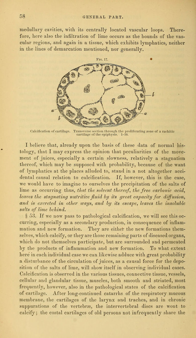 medullary cavities, with its centrally located vascular loops. There- fore, here also the infiltration of lime occurs as the bounds of the vas- cular regions, and again in a tissue, which exhibits lymphatics, neither in the lines of demarcation mentioned, nor generally. Fig. 17. Calcification of cartilage. Transverse section through the proliferating zone of a rachitic cartilage of the epiphysis. 1-10. I believe that, already upon the basis of these data of normal his- tology, that I may express the opinion that peculiarities of the move- ment of juices, especially a certain slowness, relatively a stagnation thereof, which may be supposed with probability, because of the want of lymphatics at the places alluded to, stand in a not altogether acci- dental causal relation to calcification. If, however, this is the case, we would have to imagine to ourselves the precipitation of the salts of lime as occurring thus, that the solvent thereof, the free carbonic acid, leaves the stagnating nutritive fluid by its great capacity for diffusion, and is excreted in other ways, and by its escape, leaves the insoluble salts of lime behind. § 53. If we now pass to pathological calcification, we will see this oc- curring, especially as a secondary production, in consequence of inflam- mation and new formation. They are either the new formations them- selves, which calcify, or they are those remaining parts of diseased organs, which do not themselves participate, but are surrounded and permeated by the products of inflammation and new formation. To what extent here in each individual case we can likewise adduce with great probability a disturbance of the circulation of juices, as a causal force for the depo- sition of the salts of lime, will show itself in observing individual cases. Calcification is observed in the various tissues, connective tissue, vessels, cellular and glandular tissue, muscles, both smooth and striated, most frequently, however, also in the pathological states of the calcification of cartilage. After long-continued catarrhs of the respiratory mucous membrane, the cartilages of the larynx and trachea, and in chronic suppurations of the vertebrae, the intervertebral discs are wont to calcify; the costal cartilages of old persons not infrequently share the