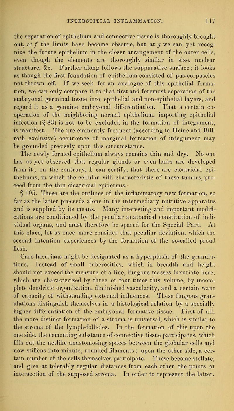 the separation of epithelium and connective tissue is thoroughly brought out, at/ the limits have become obscure, but at g we can yet recog- nize the future epithelium in the closer arrangement of the outer cells, even though the elements are thoroughly similar in size, nuclear structure, &c. Further along follows the suppurative surface; it looks as though the first foundation of epithelium consisted of pus-corpuscles not thrown off. If we seek for an analogue of this epithelial forma- tion, we can only compare it to that first and foremost separation of the embryonal germinal tissue into epithelial and non-epithelial layers, and regard it as a genuine embryonal differentiation. That a certain co- operation of the neighboring normal epithelium, importing epithelial infection (§ 83) is not to be excluded in the formation of integument, is manifest. The pre-eminently frequent (according to Heine and Bill- roth exclusive) occurrence of marginal formation of integument may be grounded precisely upon this circumstance. The newly formed epithelium always remains thin and dry. No one has as yet observed that regular glands or even hairs are developed from it; on the contrary, I can certify, that there are cicatricial epi- theliums, in which the cellular villi characteristic of these tumors, pro- ceed from the thin cicatricial epidermis. § 105. These are the outlines of the inflammatory new formation, so far as the latter proceeds alone in the intermediary nutritive apparatus and is supplied by its means. Many interesting and important modifi- cations are conditioned by the peculiar anatomical constitution of indi- vidual organs, and must therefore be spared for the Special Part. At this place, let us once more consider that peculiar deviation, which the second intention experiences by the formation of the so-called proud flesh. Caro luxurians might be designated as a hyperplasia of the granula- tions. Instead of small tuberosities, Avhich in breadth and height should not exceed the measure of a line, fungous masses luxuriate here, which are characterized by three or four times this volume, by incom- plete dendritic organization, diminished vascularity, and a certain want of capacity of withstanding external influences. These fungous gran- ulations distinguish themselves in a histological relation by a specially higher differentiation of the embryonal formative tissue. First of all, the more distinct formation of a stroma is universal, which is similar to the stroma of the lymph-follicles. In the formation of this upon the one side, the cementing substance of connective tissue participates, which fills out the netlike anastomosing spaces between the globular cells and now stiffens into minute, rounded filaments ; upon the other side, a cer- tain number of the cells themselves participate. These become stellate, and give at tolerably regular distances from each other the points ot intersection of the supposed stroma. In order to represent the latter,