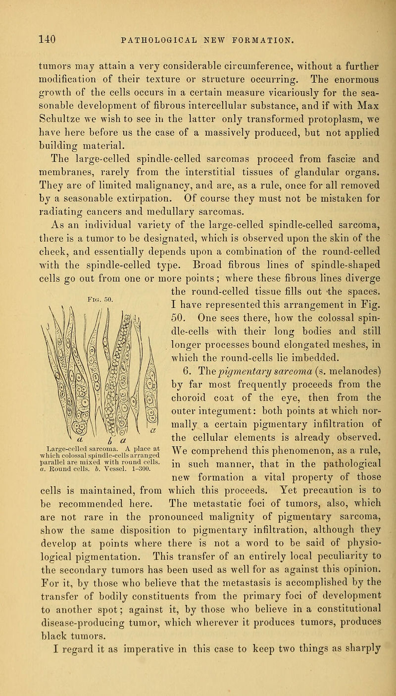 tumors may attain a very considerable circumference, without a further modification of their texture or structure occurring. The enormous growth of the cells occurs in a certain measure vicariously for the sea- sonable development of fibrous intercellular substance, and if with Max Schultze we wish to see in the latter only transformed protoplasm, we have here before us the case of a massively produced, but not applied building material. The large-celled spindle-celled sarcomas proceed from fasciae and membranes, rarely from the interstitial tissues of glandular organs. They are of limited malignancy, and are, as a rule, once for all removed by a seasonable extirpation. Of course they must not be mistaken for radiating cancers and medullary sarcomas. As an individual variety of the large-celled spindle-celled sarcoma, there is a tumor to be designated, which is observed upon the skin of the cheek, and essentially depends upon a combination of the round-celled with the spindle-celled type. Broad fibrous lines of spindle-shaped cells go out from one or more points; where these fibrous lines diverge the round-celled tissue fills out -the spaces. I have represented this arrangement in Fig. 50. One sees there, how the colossal spin- dle-cells with their long bodies and still longer processes bound elongated meshes, in which the round-cells lie imbedded. 6. The pigmentary sarcoma (s. melanodes) by far most frequently proceeds from the choroid coat of the eye, then from the outer integument: both points at which nor- mally a certain pigmentary infiltration of the cellular elements is already observed. We comprehend this phenomenon, as a rule, in such manner, that in the pathological new formation a vital property of those cells is maintained, from which this proceeds. Yet precaution is to be recommended here. The metastatic foci of tumors, also, which are not rare in the pronounced malignity of pigmentary sarcoma, show the same disposition to pigmentary infiltration, although they develop at points where there is not a word to be said of physio- logical pigmentation. This transfer of an entirely local peculiarity to the secondary tumors has been used as well for as against this opinion. For it, by those who believe that the metastasis is accomplished by the transfer of bodily constituents from the primary foci of development to another spot; against it, by those who believe in a constitutional disease-producing tumor, which wherever it produces tumors, produces black tumors. I regard it as imperative in this case to keep two things as sharply w ci l> a Large-celled sarcoma. A place at which colossal spindle-cells arranged parallel are mixed with round cells. «. Round cells. 6. Vessel. 1-300.