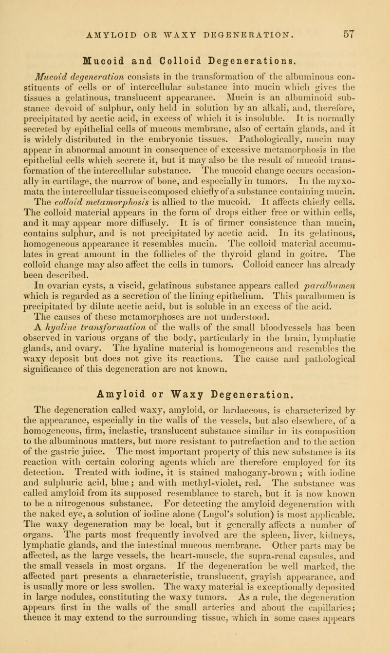 Mucoid and Colloid Degenerations. Mucoid degeneration consists in the translbrniution of the albuniinoiis con- stituents of cells or of intercellular substance into mucin which gives the tissues a gelatinous, translucent appearance. INIucin is an albuminoid sub- stance devoid of sulphur, only held in solution by an alkali, and, therefore, precipitated by acetic acid, in excess of which it is insoluble. It is normally secreted by epithelial cells of mucous membrane, also of certain glands, and it is widely distributed in the embryonic tissues. Pathologically, mucin may appear in abnormal amount in consequence of excessive metamorphosis in the epithelial cells which secrete it, but it may also be the result of mucoid trans- formation of the intercellular substance. The mucoid change occurs occasion- ally in cartilage, the marrow of bone, and especially in tumors. In the myxo- mata the intercellular tissue is composed chiefly of a substance containing mucin. The colloid metamorphosis is allied to the mucoid. It affects chiefly cells. The colloid material appears in the form of drops either free or within cells, and it may appear more diffusely. It is of firmer consistence than mucin, contains sulphur, and is not precipitated by acetic acid. In its gelatinous, homogeneous appearance it resembles mucin. The colloid material accumu- lates in great amount in the follicles of the thyroid gland in goitre. The colloid change may also affect the cells in tumors. Colloid cancer has already been described. In ovarian cysts, a viscid, gelatinous substance appears called paraJhiimen which is regarded as a secretion of the lining epithelium. This paralbumen is precipitated by dilute acetic acid, but is soluble in an excess of the acid. The causes of these metamorphoses are not understood. A hyaline transformation of the walls of the small bloodvessels has been observed in various organs of the body, particularly in the brain, lymphatic glands, and ovary. The hyaline material is homogeneous and resembles the waxy deposit but does not give its reactions. The cause and pathological significance of this degeneration are not known. Amyloid or Waxy Degeneration. The degeneration called waxy, amyloid, or lardaceous, is characterized by the appearance, especially in the walls of the vessels, but also elsewhere, of a homogeneous, firm, inelastic, translucent substance similar in its composition to the albuminous matters, but more resistant to putrefaction and to the action of the gastric juice. The most important property of this new substance is its reaction with certain coloring agents which are therefore employed for its detection. Treated with iodine, it is stained mahogany-brown ; with iodine and sul|)huric acid, blue; and with methyl-violet, red. The substance was called amyloid from its supposed resemblance to starch, but it is now known to be a nitrogenous substance. For detecting the amyloid degeneration with the naked eye, a solution of iodine alone (Lugol's solution) is most applicable. The waxy degeneration may be local, but it generally affects a number of organs. The parts most frequently involved are the spleen, liver, kidneys, lymi)hatic glands, and the intestinal mucous membrane. Other parts may be affected, as the large vessels, the heart-muscle, the supra-renal cajjsules, and the small vessels in most organs. If the degeneration be well marked, the affected part presents a characteristic, translucent, grayish apjjearance, and is usually more or less swollen. The waxy material is exceptionally deposited in large nodules, constituting the waxy tumors. As a rule, the degeneration appears first in the walls of the small arteries and about the cai)illaries; thence it may extend to the surrounding tissue, which in some cases appears