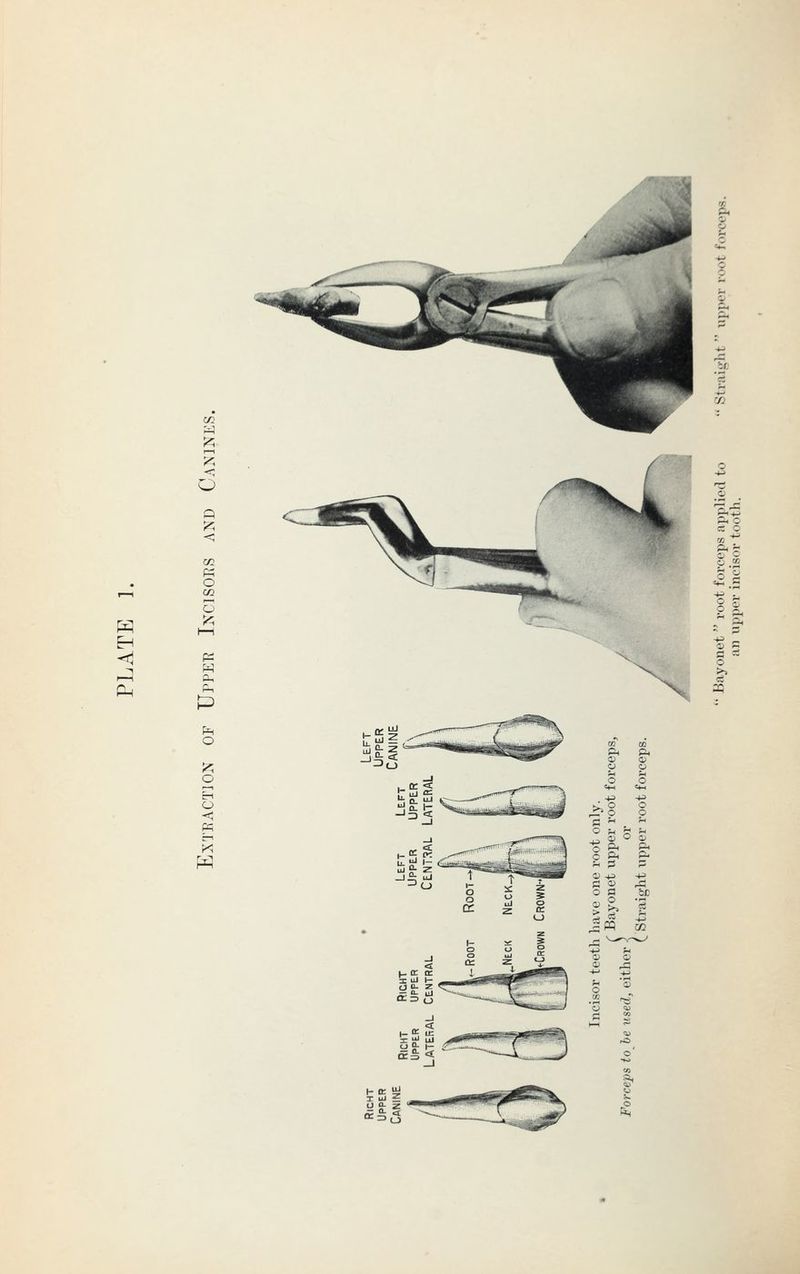 EH < <J1 i—i O p <; O i—l o pi w pl, P o o I—I El o < H p. P. 0) a> a o 1-1 o o SfH «*H 43 -*J r? o o o p * h O ^ *H ^ A3 © c a> o ^ P. C &-< p. h ? p a» +3 +3 P a> A o 0 bjD o § OB 3 i^m m +2 ^ 0) o ^ ^ Bh