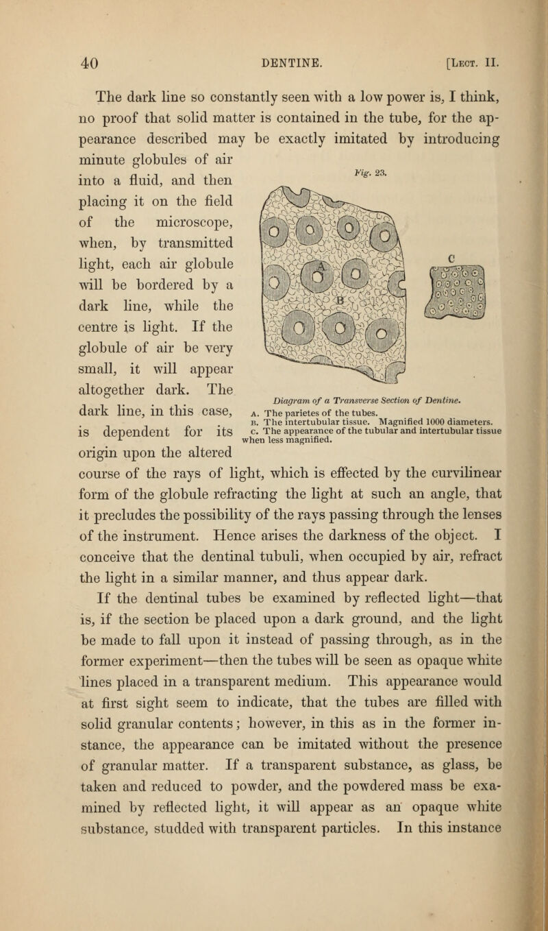 Fig. 23. Diagram of a Transverse Section of Dentine. A. The parietes of the tubes. B. The intertubular tissue. Magnified 1000 diameters, c. The appearance of the tubular and intertubular tissue when less magnified. The dark line so constantly seen with a low power is, I think, no proof that solid matter is contained in the tube, for the ap- pearance described may be exactly imitated by introducing minute globules of air into a fluid, and then placing it on the field of the microscope, when, by transmitted light, each air globule will be bordered by a dark line, while the centre is light. If the globule of air be very small, it will appear altogether dark. The dark line, in this case, is dependent for its origin upon the altered course of the rays of light, which is effected by the curvilinear form of the globule refracting the light at such an angle, that it precludes the possibility of the rays passing through the lenses of the instrument. Hence arises the darkness of the object. I conceive that the dentinal tubuli, when occupied by air, refract the light in a similar manner, and thus appear dark. If the dentinal tubes be examined by reflected light—that is, if the section be placed upon a dark ground, and the light be made to fall upon it instead of passing through, as in the former experiment—then the tubes will be seen as opaque white lines placed in a transparent medium. This appearance would at first sight seem to indicate, that the tubes are filled with solid granular contents; however, in this as in the former in- stance, the appearance can be imitated without the presence of granular matter. If a transparent substance, as glass, be taken and reduced to powder, and the powdered mass be exa- mined by reflected light, it will appear as an opaque white substance, studded with transparent particles. In this instance