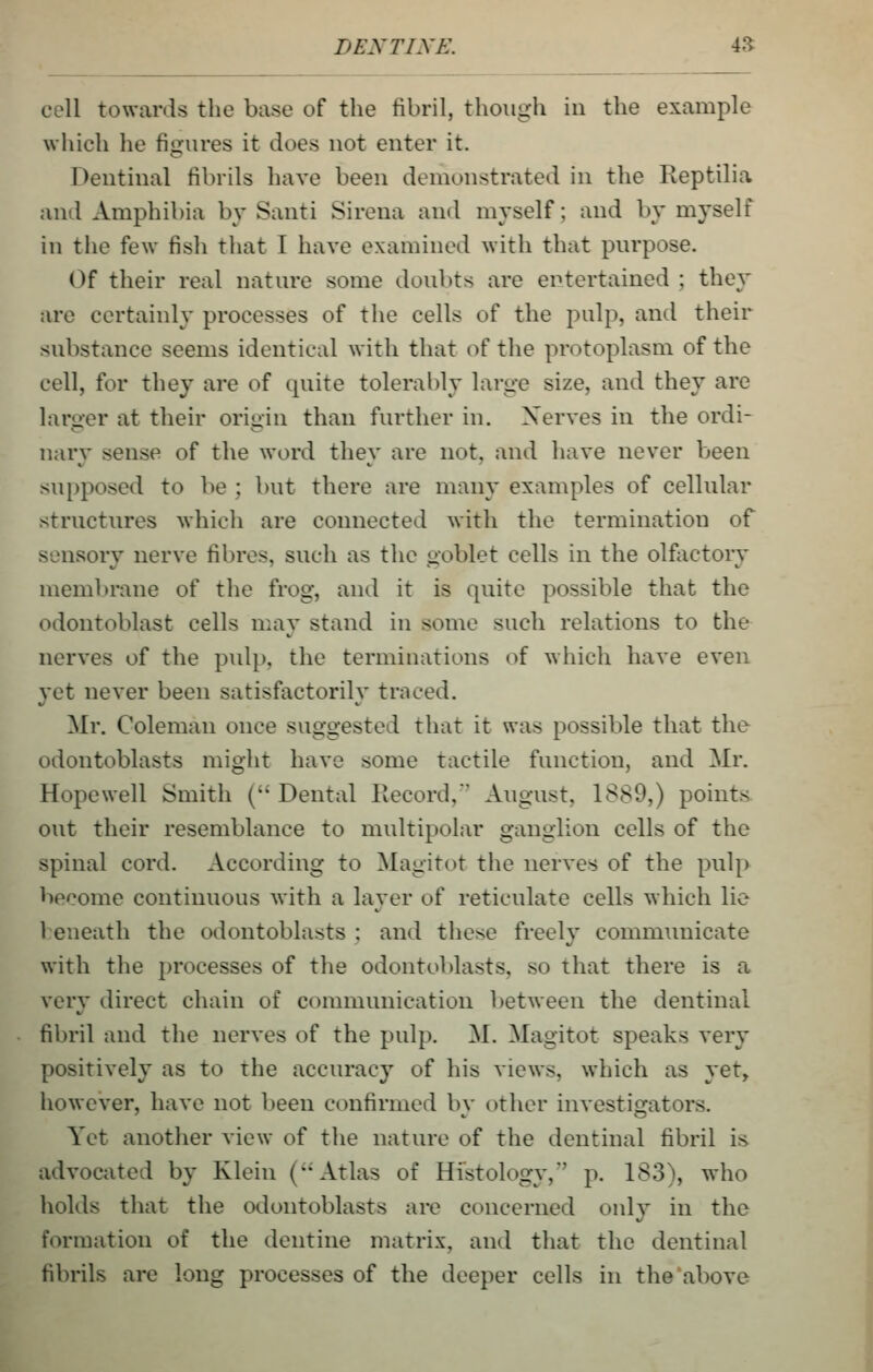 cell towards the base of the fibril, though in the example which he figures it does not enter it. Dentinal fibrils have been demonstrated in the Reptilia and Amphibia by Santi Sirena and myself; and by myself in the few fish that I have examined with that purpose. Of their real nature some doubts are entertained ; they are certainly processes of the cells of the palp, and their substance seems identical with that of the protoplasm of the cell, for they are of quite tolerably large size, and they are larger at their origin than further in. Xerves in the ordi- nary sense of the word they are not, and have never been supposed to be ; but there are many examples of cellular structures which are connected with the termination of sensory nerve fibres, such as the goblet cells in the olfiictory membrane of the frog, and it is quite possible that the odontoblast cells may stand in some such relations to the nerves of the pulp, the terminations of which have even yet never been satisfactorily traced. Mr. Coleman once suggested that it was possible that the odontoblasts might have some tactile function, and Mr. Hopewell Smith ( Dental liecord,' August, 1889,) points out their resemblance to multipolar ganglion cells of the spinal cord. According to Magitot the nerves of the pulp become continuous Avith a layer of reticulate cells which lie 1 eneath the odontoblasts ; and these freely communicate with the processes of the odontoblasts, so that there is a very direct chain of communication between the dentinal fibril and the nerves of the pulp. M. Magitot speaks very positively as to the accuracy of his views, which as yet, however, have not been confirmed by other investigators. Yet another view of the nature of the dentinal fibril is advocated by Klein (*• Atlas of Hfstology, p. 183), who holds that the odontoblasts are concerned only in the formation of the dentine matrix, and that the dentinal fibrils are long processes of the deeper cells in the above