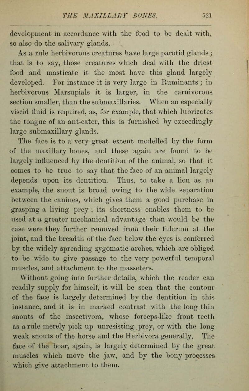 development in accordance with the food to be dealt with, so also do the salivary glands. As a rule herbivorous creatures have large parotid glands ; that is to say, those creatures which deal with the driest food and masticate it the most have this gland largely developed. For instance it is very large in Ruminants ; in herbivorous Marsupials it is larger, in the carnivorous section smaller, than the submaxillaries. When an especially viscid fluid is required, as, for example, that which lubricates the tongue of an ant-eater, this is furnished by exceedingly large submaxillary glands. The face is to a very great extent modelled by the form of the maxillary bones, and these again are found to be largely influenced by the dentition of the animal, so that it comes to be true to say that the face of an animal largely depends upon its dentition. Thus, to take a lion as an example, the snout is broad owing to the wide separation between the canines, which gives them a good purchase in grasping a living prey ; its shortness enables them to be used at a greater mechanical advantage than would be the case were they further removed from their fulcrum at the joint, and the breadth of the face below the eyes is conferred by the widely spreading zygomatic arches, which are obliged to be wide to give passage to the very powerful temporal muscles, and attachment to the masseters. Without going into further details, which the reader can readily supply for himself, it will be seen that the contour of the face is largely determined by the dentition in this instance, and it is in marked contrast with the long thin snouts of the insectivora, whose forceps-like front teeth as a rule merely pick up unresisting prey, or with the long weak snouts of the horse and the Herbivora generally. The face of the boar, again, is largely determined by the great muscles which move the jaw, and by the bony processes which give attachment to them.