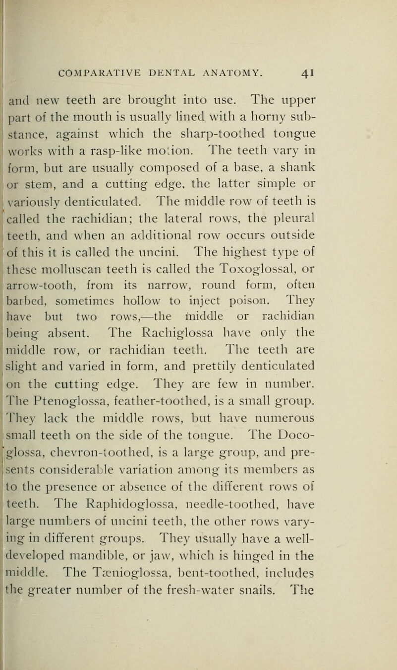 and new teeth are brought into use. The upper part of the mouth is usually lined with a horny sub- I stance, against which the sharp-toothed tongue works with a rasp-like molion. The teeth vary in form, but are usually composed of a base, a shank lor stem, and a cutting edge, the latter simple or I variously denticulated. The middle row of teeth is called the rachidian; the lateral rows, the pleural teeth, and when an additional row occurs outside of this it is called the uncini. The highest type of I these molluscan teeth is called the Toxoglossal, or arrow-tooth, from its narrow, round form, often barbed, sometimes hollow to inject poison. They have but two rows,—the middle or rachidian being absent. The Rachiglossa have only the middle row, or rachidian teeth. The teeth are I slight and varied in form, and prettily denticulated on the cutting edge. They are few in number. The Ptenoglossa, feather-toothed, is a small group. They lack the middle rows, but have numerous i small teeth on the side of the tongue. The Doco- ^glossa, chevron-toothed, is a large group, and pre- jsents considerable variation among its members as 'to the presence or absence of the different rows of teeth. The Ra])hidoglossa, needle-toothed, have large numbers of uncini teeth, the other rows vary- ing in different groups. They usually have a well- developed mandible, or jaw, which is hinged in the middle. The T.'cnioglossa, bent-toothed, includes the greater number of the fresh-water snails. The