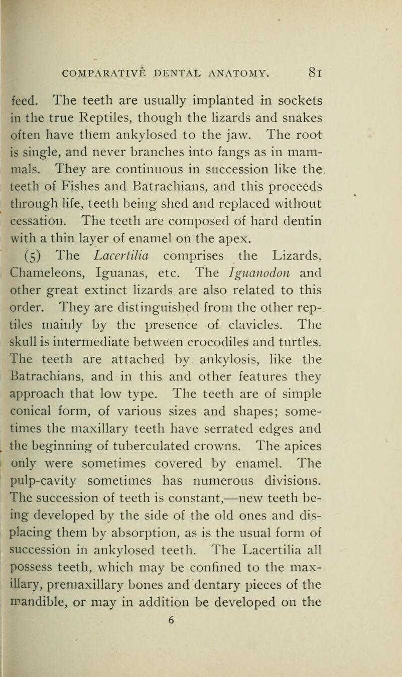 feed. The teeth are usually implanted in sockets in the true Reptiles, though the lizards and snakes often have them ankylosed to the jaw. The root is single, and never branches into fangs as in mam- mals. They are continuous in succession like the teeth of Fishes and Batrachians, and this proceeds through life, teeth being shed and replaced without cessation. The teeth are composed of hard dentin with a thin layer of enamel on the apex. (5) The Laccrtilia comprises the Lizards, Chameleons, Iguanas, etc. The Ignaiwdon and other great extinct lizards are also related to this order. They are distinguished from the other rep- tiles mainly by the presence of clavicles. The skull is intermediate between crocodiles and turtles. The teeth are attached by ankylosis, like the Batrachians, and in this and other features they approach that low type. The teeth are of simple conical form, of various sizes and shapes; some- times the maxillary teeth have serrated edges and the beginning of tuberculated crowns. The apices only were sometimes covered by enamel. The pulp-cavity sometimes has numerous divisions. The succession of teeth is constant,—new teeth be- ing developed by the side of the old ones and dis- placing them by absorption, as is the usual form of succession in ankylosed teeth. The Lacertilia all possess teeth, which may be confined to the max- illary, premaxillary bones and dentary pieces of the rnandible, or may in addition be developed on the 6