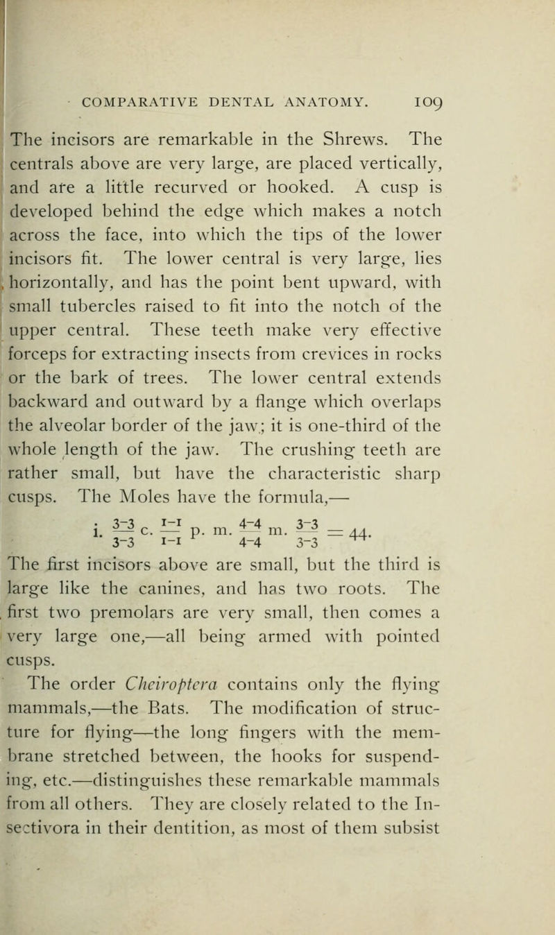 The incisors are remarkable in the Shrews. The centrals above are very large, are placed vertically, and are a little recurved or hooked. A cusp is developed behind the edge which makes a notch across the face, into which the tips of the lower incisors fit. The lower central is very large, lies horizontally, and has the point bent upward, with small tubercles raised to fit into the notch of the upper central. These teeth make very effective forceps for extracting insects from crevices in rocks or the bark of trees. The lower central extends backward and outward by a flange which overlaps the alveolar border of the jaw.; it is one-third of the whole length of the jaw. The crushing teeth are rather small, but have the characteristic sharp cusps. The Moles have the formula,— • 3-^ i-i 4-4 ^-^ 1 5-^0. — p. m. ^^^ m. ^^^ = Ad 3-3 i-i ^ 4-4 3-3 ^ The first incisors above are small, but the third is large like the canines, and has two roots. The first two premolars are very small, then comes a very large one,—all being armed with pointed cusps. The order Cheiroptera contains only the flying mammals,—the Bats. The modification of struc- ture for flying—the long fingers with the mem- brane stretched between, the hooks for suspend- ing, etc.—distinguishes these remarkable mammals from all others. They are closely related to the In- sectivora in their dentition, as most of them subsist