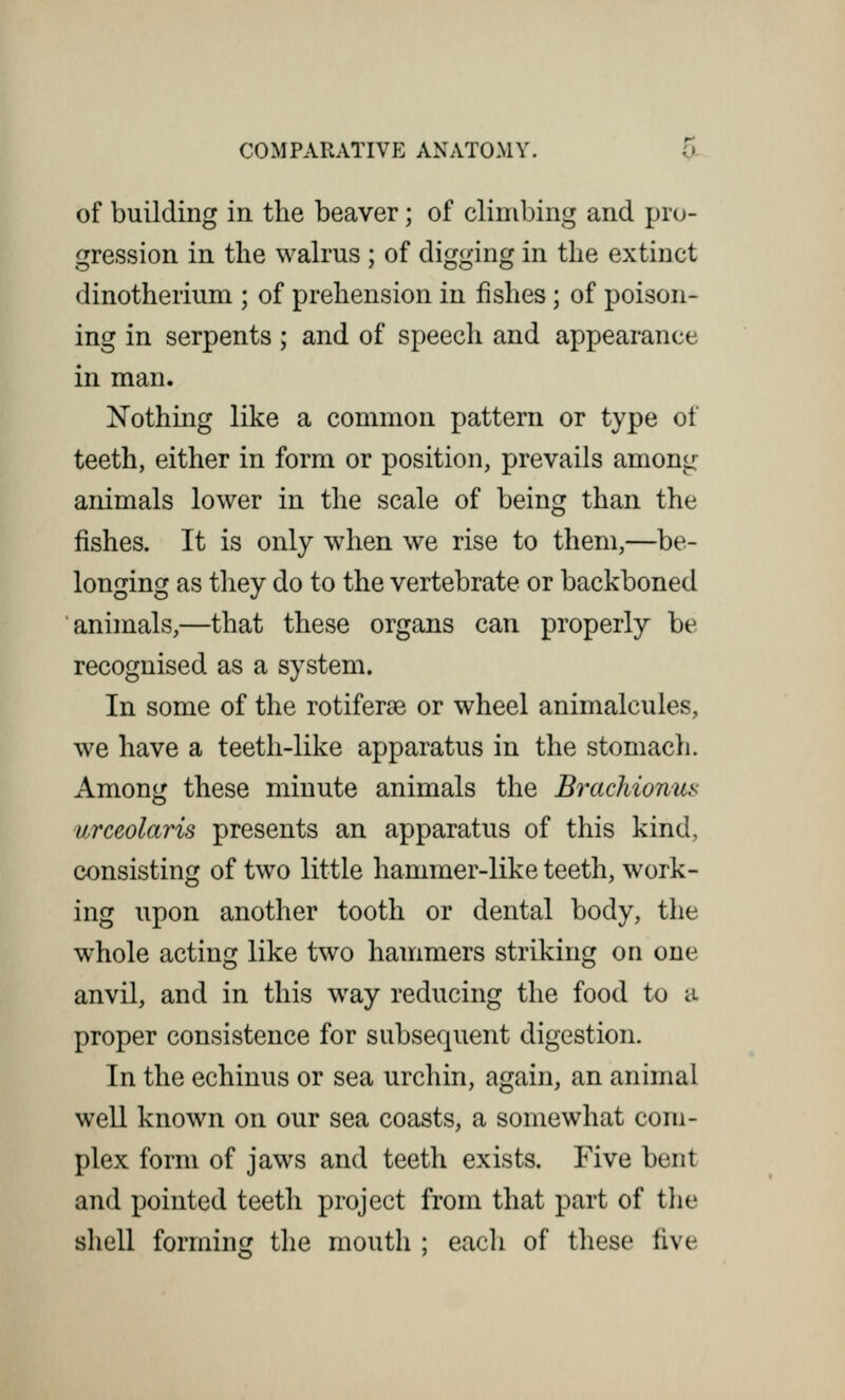 of building in the beaver; of climbing and pro- gression in the walrus ; of digging in the extinct dinotherium ; of prehension in fishes ; of poison- ing in serpents; and of speech and appearance in man. Nothing like a common pattern or type of teeth, either in form or position, prevails among animals lower in the scale of being than the fishes. It is only when we rise to them,—be- longing as they do to the vertebrate or backboned animals,—that these organs can properly be recognised as a system. In some of the rotiferae or wheel animalcules, we have a teeth-like apparatus in the stomach. Among these minute animals the Brachionus urceolaris presents an apparatus of this kind, consisting of two little hammer-like teeth, work- ing upon another tooth or dental body, the whole acting like two hammers striking on one anvil, and in this way reducing the food to a proper consistence for subsequent digestion. In the echinus or sea urchin, again, an animal well known on our sea coasts, a somewhat com- plex form of jaws and teeth exists. Five bent and pointed teeth project from that part of the shell forming the mouth ; each of these five