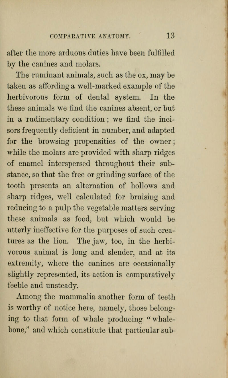 after the more arduous duties have been fulfilled by the canines and molars. The ruminant animals, such as the ox, may be taken as affording a well-marked example of the herbivorous form of dental system. In the these animals we find the canines absent, or but in a rudimentary condition; we find the inci- sors frequently deficient in number, and adapted for the browsing propensities of the owner; while the molars are provided with sharp ridges of enamel interspersed throughout their sub- stance, so that the free or grinding surface of the tooth presents an alternation of hollows and sharp ridges, well calculated for bruising and reducing to a pulp the vegetable matters serving these animals as food, but which would be utterly ineffective for the purposes of such crea- tures as the lion. The jaw, too, in the herbi- vorous animal is long and slender, and at its extremity, where the canines are occasionally slightly represented, its action is comparatively feeble and unsteady. Among the mammalia another form of teeth is worthy of notice here, namely, those belong- ing to that form of whale producing whale- bone, and which constitute that particular sub-