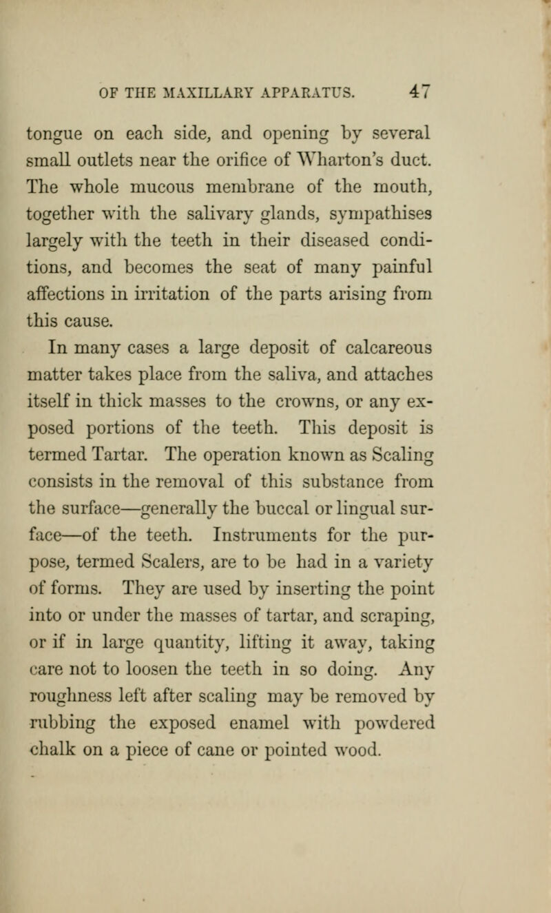 tongue on each side, and opening by several small outlets near the orifice of Wharton's duct. The whole mucous membrane of the mouth, together with the salivary glands, sympathises largely with the teeth in their diseased condi- tions, and becomes the seat of many painful affections in irritation of the parts arising from this cause. In many cases a large deposit of calcareous matter takes place from the saliva, and attaches itself in thick masses to the crowns, or any ex- posed portions of the teeth. This deposit is termed Tartar. The operation known as Scaling consists in the removal of this substance from the surface—generally the buccal or lingual sur- face—of the teeth. Instruments for the pur- pose, termed Scalers, are to be had in a variety of forms. They are used by inserting the point into or under the masses of tartar, and scraping, or if in large quantity, lifting it away, taking care not to loosen the teeth in so doing. Any roughness left after scaling may be removed by rubbing the exposed enamel with powdered chalk on a piece of cane or pointed wood.