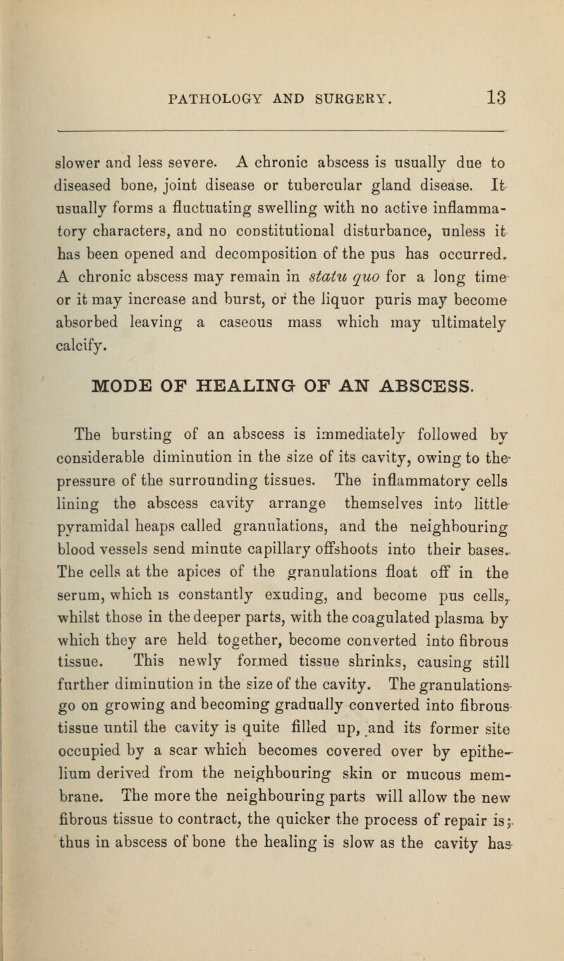 slower and less severe. A chronic abscess is usually due to diseased bone, joint disease or tubercular gland disease. It usually forms a fluctuating swelling with no active inflamma- tory characters, and no constitutional disturbance, unless it has been opened and decomposition of the pus has occurred. A chronic abscess may remain in static quo for a long time or it may increase and burst, or the liquor puris may become absorbed leaving a caseous mass which may ultimately calcify. MODE OF HEALING OF AN ABSCESS. The bursting of an abscess is immediately followed by considerable diminution in the size of its cavity, owing to the- pressure of the surrounding tissues. The inflammatory cells lining the abscess cavity arrange themselves into little pyramidal heaps called granulations, and the neighbouring blood vessels send minute capillary offshoots into their bases. The cells at the apices of the granulations float ofl in the serum, which is constantly exuding, and become pus cells, whilst those in the deeper parts, with the coagulated plasma by which they are held together, become converted into fibrous tissue. This newly formed tissue shrinks, causing still further diminution in the size of the cavity. The granulations- go on growing and becoming gradually converted into fibrous tissue until the cavity is quite filled up, and its former site occupied by a scar which becomes covered over by epithe- lium derived from the neighbouring skin or mucous mem- brane. The more the neighbouring parts will allow the new fibrous tissue to contract, the quicker the process of repair is;, thus in abscess of bone the healing is slow as the cavity has