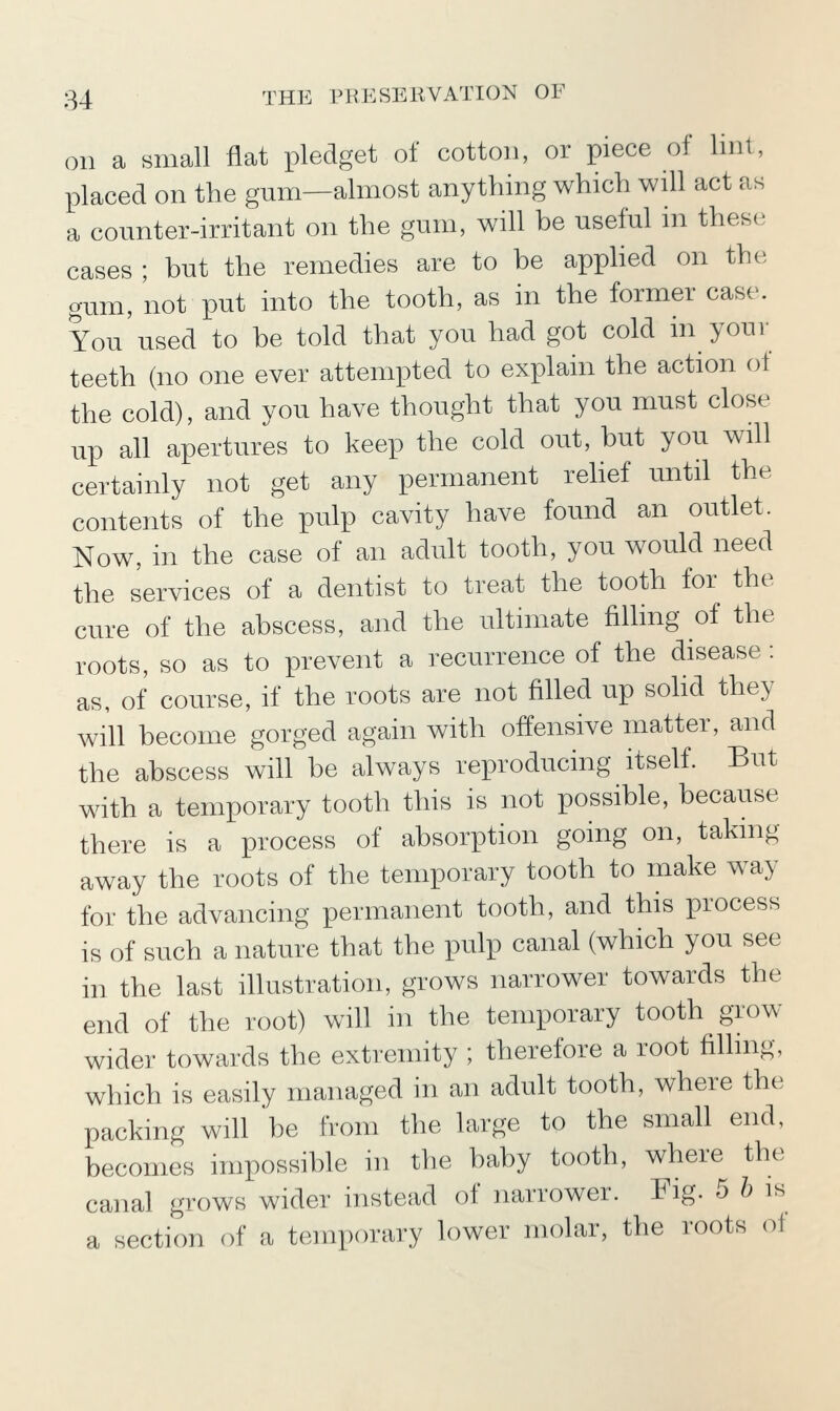 Oil a small flat pledget of cotton, or piece of lint, placed on the gum—almost anything which will act as a counter-irritant on the gum, will be useful in these cases ; but the remedies are to be apphed on the gum, not put into the tooth, as in the former case. You used to be told that you had got cold in your teeth (no one ever attempted to explain the action (3I the cold), and you have thought that you must close up all apertures to keep the cold out, but you will certainly not get any permanent relief until the contents of the pulp cavity have found an outlet. Now, in the case of an adult tooth, you would need the services of a dentist to treat the tooth for the cure of the abscess, and the ultimate filhng of the roots, so as to prevent a recurrence of the disease : as, of course, if the roots are not filled up sohd they will become gorged again with offensive matter, and the abscess will be always reproducing itself. But with a temporary tooth this is not possible, because there is a process of absorption going on, taking away the roots of the temporary tooth to make way for the advancing permanent tooth, and this process is of such a nature that the pulp canal (which you see in the last illustration, grows narrower towards the end of the root) will in the temporary tooth grow wider towards the extremity ; therefore a root filling, which is easily managed in an adult tooth, where the packing will be from the large to the small end, becomes impossible in the baby tooth, where the canal grows wider instead of narrower. Fig. 5 h is a section of a temporary lower molar, the roots (^1