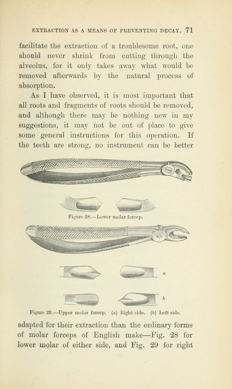 facilitate the extraction of a troublesome root, one should never shrink from cutting through the alveolus, for it only takes away what would be removed afterwards by the natural process of absorption. A.s I have observed, it is most important that all roots and fragments of roots should be removed, and although there may be nothing new in my suggestions, it may not be out of place to give some general instructions for this operation. If the teeth are strong, no instrument can be better Figure 28.—Lower molar forcep. Figure 29.—Upper molar forcep. (a) Right side, (b) Left side. adapted for their extraction than the ordinary forms of molar forceps of English make—Fig. 28 fol- lower molar of either side, and Fig. 29 for right