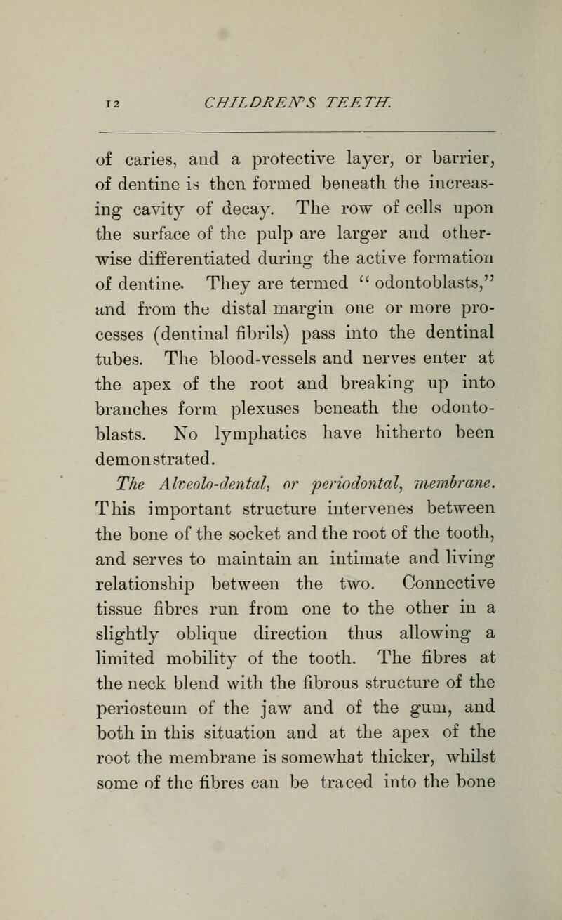 of caries, and a protective layer, or barrier, of dentine is then formed beneath the increas- ing cavity of decay. The row of cells upon the surface of the pulp are larger and other- wise differentiated during the active formation of dentine. They are termed  odontoblasts, and from the distal margin one or more pro- cesses (dentinal fibrils) pass into the dentinal tubes. The blood-vessels and nerves enter at the apex of the root and breaking up into branches form plexuses beneath the odonto- blasts. No lymphatics have hitherto been demonstrated. The Alveolo-dental, or iwriodontal., memhrane. This important structure intervenes between the bone of the socket and the root of the tooth, and serves to maintain an intimate and living relationship between the two. Connective tissue fibres run from one to the other in a slightly oblique direction thus allowing a limited mobility of the tooth. The fibres at the neck blend with the fibrous structure of the periosteum of the jaw and of the gum, and both in this situation and at the apex of the root the membrane is somewhat thicker, whilst some of the fibres can be traced into the bone