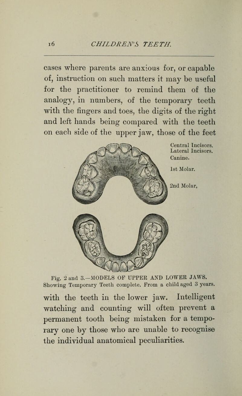cases where parents are anxious for, or capable of, instruction on such matters it may be useful for the practitioner to remind them of the analogy, in numbers, of the temporary teeth with the fingers and toes, the digits of the right and left hands being compared with the teeth on each side of the upper jaw, those of the feet Central Incisors. Lateral Incisors. Canine. 1st Molar. 2nd Molar, Fig. 2 and 3.-M0DELS OP UPPER AND LOWER JAWS. Showing Temporary Teeth complete. From a child aged 3 years. with the teeth in the lower jaw. Intelligent watching and counting will often prevent a permanent tooth being mistaken for a tempo- rary one by those who are unable to recognise the individual anatomical peculiarities.
