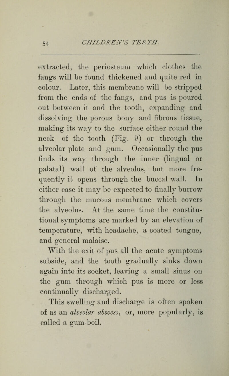 extracted, the periosteum which clothes the fangs will be found thickened and quite red in colour. Later, this membrane will be stripped from the ends of the fangs, and pus is poured out between it and the tooth, expanding and dissolving the porous bony and fibrous tissue, making its way to the surface either round the neck of the tooth (Fig. 9) or through the alveolar plate and gum. Occasionally tlie pus finds its way through the inner (lingual or palatal) wall of the alveolus, but more fre- quently it opens through the buccal wall. In either case it may be expected to finally burrow through the mucous membrane which covers the alveolus. At the same time the constitu- tional symj^toms are marked by an elevation of temperature, with headache, a coated tongue, and general malaise. With the exit of pus all the acute symptoms subside, and the tooth gradually sinks down again into its socket, leaving a small sinus on the gum through which pus is more or less continually discharged. This swelling and discharge is often spoken of as an alveolar abscess, or, more popularly, is called a gum-boil.