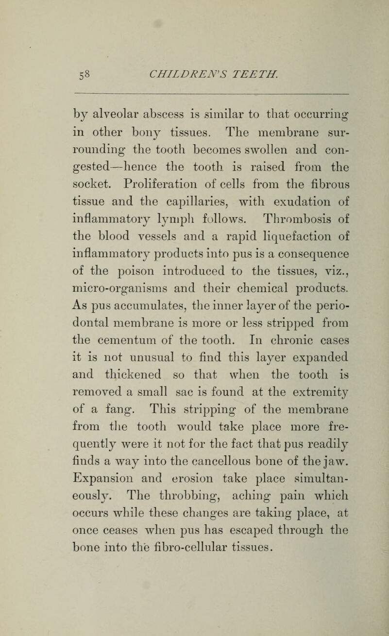 by alveolar abscess is similar to that occurring in other bony tissues. The membrane sur- rounding the tooth becomes swollen and con- gested—hence the tooth is raised from the socket. Proliferation of cells from the fibrous tissue and the capillaries, with exudation of inflammatory lymph follows. Tlirombosis of the blood vessels and a rapid liquefaction of inflammatory products into pus is a consequence of the poison introduced to the tissues, viz., micro-organisms and their chemical products. As pus accumulates, the inner layer of the perio- dontal membrane is more or less stripped from the cementum of the tooth. In chronic cases it is not unusual to find this layer expanded and thickened so that when the tooth is removed a small sac is found at the extremity of a fang. This stripping of the membrane from tlie tooth would take place more fre- quently were it not for the fact that pus readily finds a way into the cancellous bone of the jaw. Expansion and erosion take place simultan- eously. The throbbing, aching pain which occurs while these changes are taking place, at once ceases when pus has escaped through the bone into the fibro-cellular tissues.