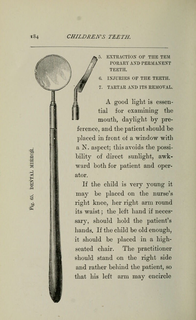 EXTRACTIOX OF THE TEM PORARY AXD PERMAXEXT TEETH. 6. IXJURIES OF THE TEETH. 7. TARTAR AXD ITS REMOVAL. A good light is essen- tial for examining the mouth, daylight by pre- ference, and the patient should be placed in front of a window with a N. aspect; this avoids the possi- bility of direct sunlight, awk- ward both for patient and oper- ator. If the child is very young it may be placed on the nurse's right knee, her right arm round its waist; the left hand if neces- sary, should hold the patient's hands. If the child be old enough, it should be placed in a high- seated chair. The practitioner should stand on the right side and rather behind the patient, so that his left arm may encircle