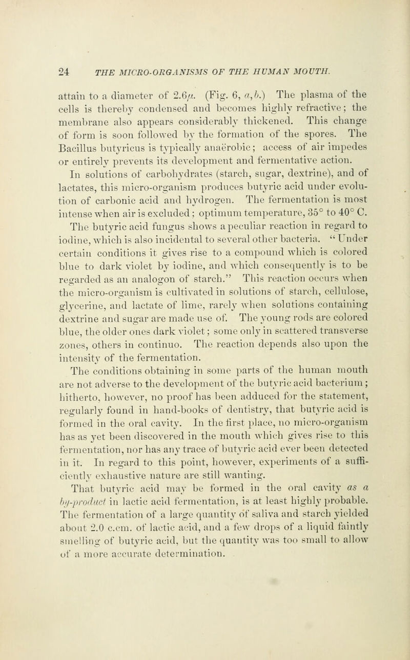 attain to a diaraoter of 2.6/7.. (Fig. 6, a,b.) Tlie plasma of the cells is thereby condensed and becomes highly refractive; the membrane also appears considerably thickened. This change of form is soon followed by the formation of the spores. The Bacillus butyricus is typically anaerobic; access of air impedes or entirely prevents its development and fermentative action. In solutions of carbohydrates (starch, sugar, dextrine), and of lactates, this micro-organism produces butyric acid under evolu- tion of carbonic acid and hydrogen. The fermentation is most intense when air is excluded; optimum temperature, 35° to 40° C. The butyric acid fungus shows a peculiar reaction in regard to iodine, which is also incidental to several other bacteria.  Under certain conditions it gives rise to a compound which is colored blue to dark violet by iodine, and which consequently is to be regarded as an analogon of starch. This reaction occurs when the micro-organism is cultivated in solutions of starch, cellulose, glycerine, and lactate of lime, rarely when solations containing dextrine and sugar are made use of. The young rods are colored blue, the older ones dark violet; some only in scattered transverse zones, others in continuo. The reaction depends also upon the intensity of the fermentation. The conditions obtaining in some parts of the human mouth are not adverse to the development of the butyric acid bacterium; hitherto, however, no proof has been adduced for the statement, regularly found in hand-books of dentistry, that butyric acid is formed in the oral cavity. In the first place, no micro-organism has as yet been discovered in the mouth which gives rise to this fermentation, nor has any trace of butyric acid ever been detected in it. In regard to this point, however, experiments of a suifi- ciently exhaustive nature are still wanting. That butyric acid may be formed in the oral cavity as a hii-prodacf in lactic acid fermentation, is at least highly probable. The fermentation of a large quantity of saliva and starch yielded about 2.0 c.cm. of lactic acid, and a few drops of a liquid faintly smelling of butyric acid, but the quantity was too small to allow of a more accurate determination.