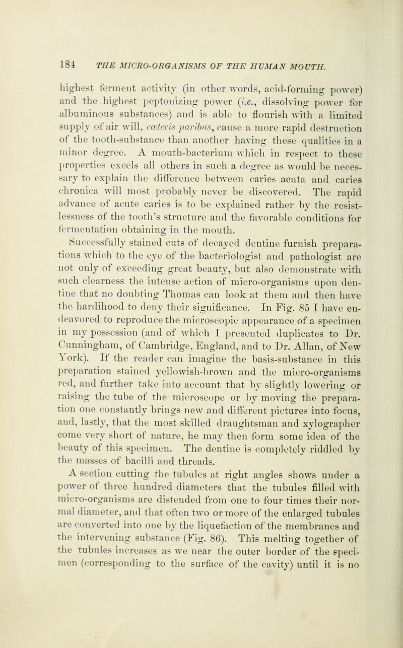 highest ferment activity (in other words, aeid-forming power) and the highest peptonizing power [i.e., dissolving power for albuminous substances) and is able to flourish with a limited supply of air will, cmteris jyaribus, cause a more rapid destruction of the tooth-substance than another having these qualities in a minor degree. A mouth-bacterium which in respect to these properties excels all others in such a degree as would be neces- sary to explain the difference between caries acuta and caries chronica will most probably never be discovered. The rapid advance of acute caries is to be explained rather by the resist- lessness of the tooth's structure and the flivorable conditions for fermentation obtaining in the mouth. Successfully stained cuts of decayed dentine furnish prepara- tions which to the eye of the bacteriologist and pathologist are not only of exceeding great beauty, but also demonstrate with such clearness the intense action of micro-organisms upon den- tine that no doubting Thomas can look at them and then have the hardihood to deny their significance. In Fig. 85 I have en- deavored to reproduce the microscopic appearance of a specimen in my possession (and of which I presented duplicates to Dr. Cunningham, of Cambridge, England, and to Dr. Allan, of N'ew York). If the reader can imagine the basis-substance in this preparation stained yellowish-brown and the micro-organisms red, and further take into account that by slightly lowering or raising the tube of the microscope or by moving the prepara- tion one constantly brings new and ditferent pictures into focus, and, lastly, that the most skilled draughtsman and xylographer come very short of nature, he may then form some idea of the beauty of this specimen. The dentine is completely riddled by the masses of bacilli and threads. A section cutting the tubules at right angles shows under a power of three hundred diameters that the tubules filled with micro-organisms are distended from one to four times their nor- mal diameter, and that often two or more of the enlarged tubules are converted into one by the liquefaction of the membranes and the intervening substance (Fig. 86). This melting together of the tubules increases as we near the outer border of the speci- men (corresponding to the surface of the cavity) until it is no