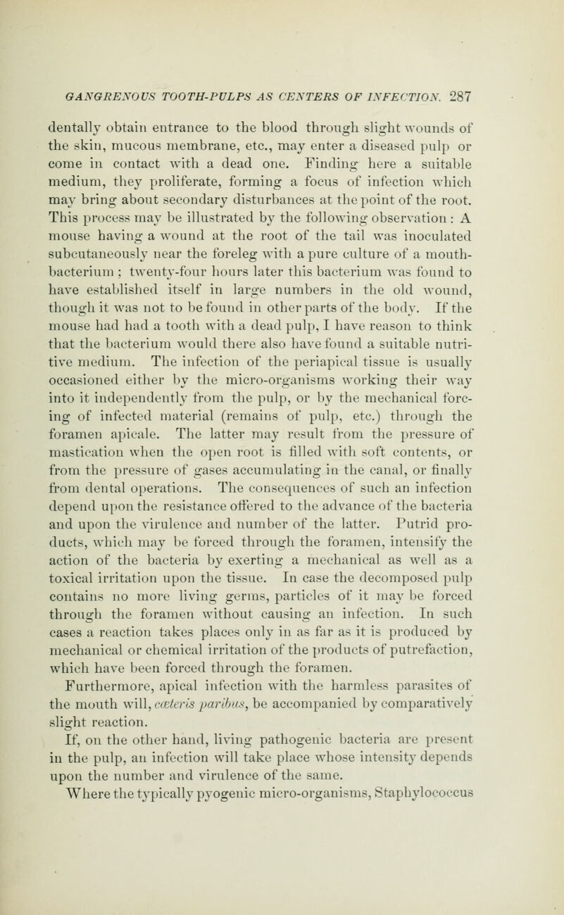 dentally obtain entrance to the blood through slight wounds of the skin, mucous membrane, etc., may enter a diseased pulp or come in contact with a dead one. Finding here a suitable medium, they proliferate, forming a focus of infection which may bring about secondary disturbances at the point of the root. This process may be illustrated by the following observation : A mouse having a wound at the root of the tail was inoculated subcutaneously near the foreleg with a pure culture of a mouth- bacterium ; twenty-four hours later this bacterium was found to have established itself in large numbers in the old wound, though it was not to be found in other parts of the body. If the mouse had had a tooth with a dead pulp, I have reason to think that the bacterium would there also have found a suitable nutri- tive medium. The infection of the periapical tissue is usually occasioned either by the micro-organisms working their way into it independently from the pulp, or by the mechanical forc- ing of infected material (remains of pulp, etc.) through the foramen apicale. The latter may result from the pressure of mastication when the open root is filled with soft contents, or from the pressure of gases accumulating in the canal, or finally from dental operations. The consequences of such an infection depend upon the resistance offered to the advance of the bacteria and upon the virulence and number of the latter. Putrid pro- ducts, which may be forced through the foramen, intensify the action of the bacteria by exerting a mechanical as well as a toxical irritation upon the tissue. In case the decomposed pulp contains no more living germs, particles of it may be forced through the foramen without causing an infection. In such cases a reaction takes places only in as far as it is produced by mechanical or chemical irritation of the products of putrefaction, which have been forced through the foramen. Furthermore, apical infection with the harmless parasites of the mouth will, cceteris paribus, be accompanied by comparatively slight reaction. If, on the other hand, living pathogenic bacteria are present in the pulp, an infection will take place whose intensity depends upon the number and virulence of the same. Where the typically pyogenic micro-organisms, Staphylococcus