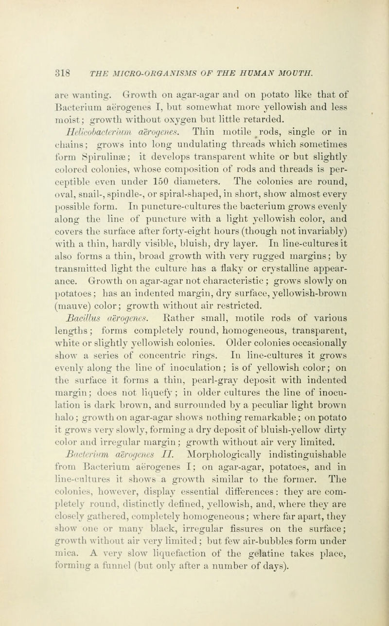 arc wanting. Growth on agar-agar and on potato like that of Bacterium aerogenes I, hut somewhat more yellowish and less moist; growth without oxygen hut little retarded. Helicobacterium aeroyenes. Thin motile rods, single or in chains; grows into long undulating threads which sometimes form Spiruliuae; it develops transparent white or but slightly colored colonies, whose composition of rods and threads is per- ceptible even under 150 diameters. The colonies are round, oval, snail-, spindle-, or spiral-shaped, in short, show almost every possible form. In puncture-cultures the bacterium grows evenly along the line of puncture with a light yellowish color, and covers the surface after forty-eight hours (though not invariably) with a thin, hardly visible, bluish, dry layer. In line-cultures it also forms a thin, broad growth with very rugged margins; by transmitted light the culture has a flaky or crystalline appear- ance. Growth on agar-agar not characteristic ; grows slowly on potatoes; has an indented margin, dry surface, yellowish-brown (mauve) color; growth without air restricted. Bacillus aerogenes. Kather small, motile rods of various lengths; forms completely round, homogeneous, transparent, white or slightly yellowish colonies. Older colonies occasionally show a series of concentric rings. In line-cultures it grows evenly along the line of inoculation; is of yellowish color; on the surface it forms a thin, pearl-gray deposit with indented margin; does not liquefy; in older cultures the line of inocu- lation is dark brown, and surrounded by a peculiar light brow^n lialo; growth on agar-agar shows nothing remarkable ; on potato it grows very slowly, forming a dry deposit of bluish-yellow dirty color and irregular margin; growth without air very limited. Bacterium aerogenes II. Morphologically indistinguishable from Bacterium aerogenes I; on agar-agar, potatoes, and in line-cultures it shows a growth similar to the former. The colonies, however, display essential differences: they are com- pletely round, distinctly defined, yellowish, and, where they are closely gathered, completely homogeneous; where far apart, they show one or many black, irregular fissures on the surface; growth without air very limited; but few air-bubbles form under mica. A very slow liquefaction of the gelatine takes place, forming a funnel (but only after a number of days).
