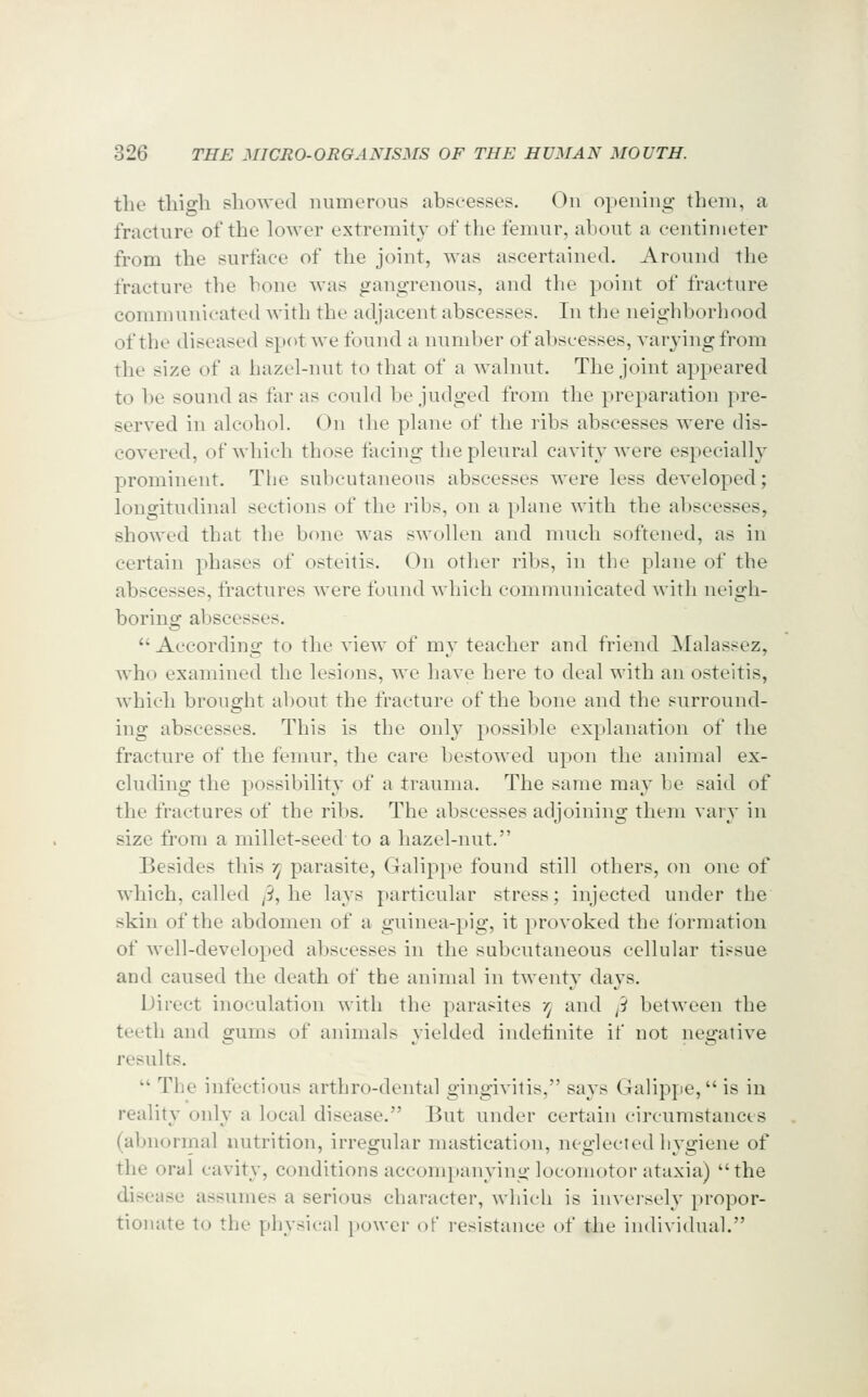 the tliigli pliowecl numerous abscesses. On opening them, a fracture of the lower extremity of the femur, about a centimeter from the surface of the joint, was ascertained. Around the fracture tlie bone was gangrenous, and the point of fracture communicated with the adjacent abscesses. In the neighborhood of the diseased spot we found a number of abscesses, varying from the size of a hazel-nut to that of a walnut. The joint ai»peared to be sound as far as could be judged from the preparation pre- served in alcohol. On the plane of the ribs abscesses were dis- covered, of which those facing the pleural cavity were especially prominent. The subcutaneous abscesses were less developed; longitudinal sections of the ribs, on a plane with the abscesses, showed that the bone was swollen and much softened, as in certain phases of osteitis. On other ribs, in the plane of the abscesses, fractures were found which communicated with neigh- boring abscesses.  According to the view of my teacher and friend Malassez, who examined the lesions, we have here to deal with an osteitis, which brought about the fracture of the bone and the surround- ing abscesses. This is the only possible explanation of the fracture of the femur, the care bestowed upon the animal ex- cluding the possibility of a trauma. The same may be said of the fractures of the ribs. The abscesses adjoining them vaiy in size from a millet-seed to a hazel-nut. Besides this /^ parasite, Galippe found still others, on one of which, called ^3, he lays particular stress; injected under the skin of the abdomen of a guinea-pig, it provoked the formation of well-developed abscesses in the subcutaneous cellular tissue and caused the death of the animal in twenty days. Direct inoculation with the parasites -/j and f^ between the teeth and gums of animals yielded indelinite if not negative results.  The infectious arthro-dental gingivitis, says Galip|ie, is in reality only a local disease. But under certain circumstancts (abnormal nutrition, irregular mastication, neglected hygiene of the oral cavity, conditions accompanying locomotor ataxia) the disease assumes a serious character, Avhich is inversely propor- tionate to the physical power of resistance of the individual.
