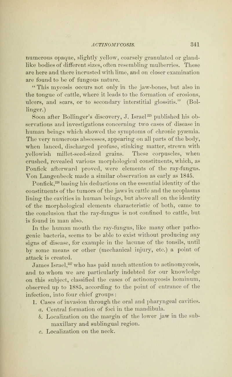 numerous opaque, slightly yellow, coarsely granulated or gland- like bodies of diiferent sizes, often resembling mulberries, Tbese are here and there incrusted with lime, and on closer examination are found to be of fungous nature.  This mycosis occurs not only in the jaw-bones, but also in the tongue of cattle, where it leads to the formation of erosions, ulcers, and scars, or to secondary interstitial glossitis. (Bol- linger.) Soon after Bollinger's discovery, J. Israel^ published his ob- serv^ations and investigations concerning two cases of disease in human beings which showed the symptoms of chronic pyasmia. The very numerous abscesses, appearing on all parts of the body, when lanced, discharged profuse, stinking matter, strewn with yellowish millet-seed-sized grains. These corpuscles, when crushed, revealed various morphological constituents, which, as Pontick afterward proved, were elements of the ray-fungus. Von Langenbeck made a similar observation as early as 1845. Pontick,^^ basing his deductions on the essential identity of the constituents of the tumors of the jaws in cattle and the neoplasms lining the cavities in human beings, but above all on the identity of the morphological elements characteristic of both, came to the conclusion that the ray-fungus is not confined to cattle, but is found in man also. In the human mouth the ray-fungus, like many other patho- genic bacteria, seems to be able to exist without producing any signs of disease, for example in the lacuna3 of the tonsils, until by some means or other (mechanical injury, etc.) a point of attack is created. James Israel,^^ who has paid much attention to actinomycosis, and to whom we are particularly indebted for our knowledge on this subject, classified the cases of actinomycosis hominum, observed up to 1885, according to the point of entrance of the infection, into four chief groups : 1. Cases of invasion through the oral and pharyngeal cavities. a. Central formation of foci in the mandibula. b. Localization on the margin of the lower jaw in the sub- maxillary and sublingual region. c. Localization on the neck.