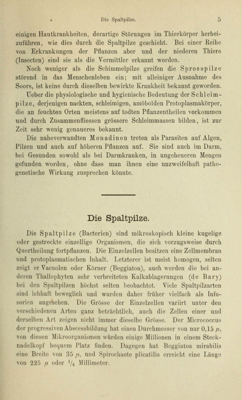 einigen Hautkrankheiten, derartige Störungen im Thierkörper herbei- zuführen, wie dies durch die Spaltpilze geschieht. Bei einer Reihe von Erkrankungen der Pflanzen aber und der niederen Thiere (Insecten) sind sie als die Vermittler erkannt worden. Noch weniger als die Schimmelpilze greifen die Sprosspilze störend in das Menschenleben ein; mit alleiniger Ausnahme des Soors, ist keine durch dieselben bewirkte Krankheit bekannt geworden. üeber die physiologische und hygienische Bedeutung der Schleim- pilze, derjenigen nackten, schleimigen, amöboiden Protoplasmakörper, die an feuchten Orten meistens auf todten Pflanzentheilen vorkommen und durch Zusammenfliessen grössere Schleimmassen bilden, ist zur Zeit sehr wenig genaueres bekannt. Die nahe verwandten Monadinen treten als Parasiten auf Algen, Pilzen und auch auf höheren Pflanzen auf. Sie sind auch im Darm, bei Gesunden sowohl als bei Darmkranken, in ungeheueren Mengen gefunden worden, ohne dass man ihnen eine unzweifelhaft patho- genetische Wirkung zusprechen könnte. Die Spaltpilze. Die Spaltpilze (Bacterien) sind mikroskopisch kleine kugelige oder gestreckte einzellige Organismen, die sich vorzugsweise durch Quertheilung fortpflanzen. Die Einzelzellen besitzen eine Zellmembran und protoplasmatischen Inhalt. Letzterer ist meist homogen, selten zeigt er Vacuolen oder Körner (Beggiatoa), auch werden die bei an- deren Thallophyten sehr verbreiteten Kalkablagerungen (de Bary) bei den Spaltpilzen höchst selten l)eobachtct. Viele Spaltpilzarten sind lebhaft beweglich und wurden daher früher vielfach als Infu- sorien ange'sehen. Die Grösse der Einzelzellen variirt unter den verschiedenen Arten ganz beträchtlich, auch die Zellen einer und derselben Art zeigen nicht immer dieselbe Grösse. Der Micrococcus der progressiven Abscessbildung hat einen Durchmesser von nur 0,15 //, von diesen Mikroorganismen würden einige Millionen in einem Steck- nadelkopf bequem Platz finden. Dagegen hat Beggiatoa mirabilis eine Breite von 35 //, und Spirochaete plicatilis erreicht eine Länge von 225 // oder ^4 Millimeter.
