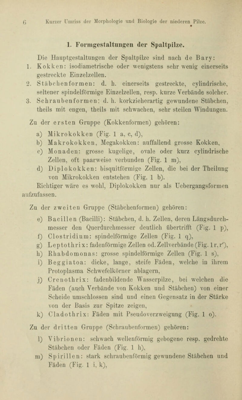 1. Formgestaltungen der Spaltpilze. Die HauptgestaltiiDgen der Spaltpilze sind nach de Bary: 1. Kokken: isodiametrische oder wenigstens sehr wenig einerseits gestreckte Einzelzellen. 2. Stiibchenformen: d. h. einerseits gestreckte, cylindrische, seltener spindelförmige Einzelzellen, resp. kurze Verbände solcher. 3. Schraubenformen: d. h. korkzieherartig gewundene Stäbchen, theils mit engen, theils mit schwachen, sehr steilen Windungen. Zu der ersten Gruppe (Kokkenformen) gehören: a) Mikrokokken (Fig. 1 a, c, d), b) Makrokokken, Megakokken: auffallend grosse Kokken, c) Monaden: grosse kugelige, ovale oder kurz cylindrische Zellen, oft paarweise verbunden (Fig. 1 m), d) Diplokokken: bisquitförmige Zellen, die bei der Theilung von Mikrokokken entstehen (Fig. 1 b). Richtiger wäre es wohl, Diplokokken nur als Uebergangsformen aufzufassen. Zu der zweiten Gruppe (Stäbchenformen) gehören: e) Bacillen (Bacilli): Stäbchen, d. h. Zellen, deren Längsdurch- messer den Querdurchmesser deutlich übertrift't (Fig. 1 p), f) Clostridium: spindelförmige Zellen (Fig. 1 q), g) Leptothrix: fadenförmige Zellen od. Zellverbände (Fig. Ir, r'), h) Rhabdomonas: grosse spindelförmige Zellen (Fig. 1 s), i) Beggiatoa: dicke, lange, steife Fäden, welche in ihrem Protoplasma Schwefelkörner ablagern, j) Crenothrix: fadenbildende Wasserpilze, bei welchen die Fäden (auch Verbände von Kokken und Stäbchen) von einer Scheide umschlossen sind und einen Gegensatz in der Stärke von der Basis zur Spitze zeigen, k) Cladothrix: Fäden mit PseudoVerzweigung (Fig. 1 o). Zu der dritten Gruppe (Schraubonformen) gehören: 1) Vibrionen: schwach wellenförmig gebogene resp. gedrehte Stäbchen oder Fäden (Fig. 1 h), m) Spirillen: stark schraubenförmig gewundene Stäbchen und