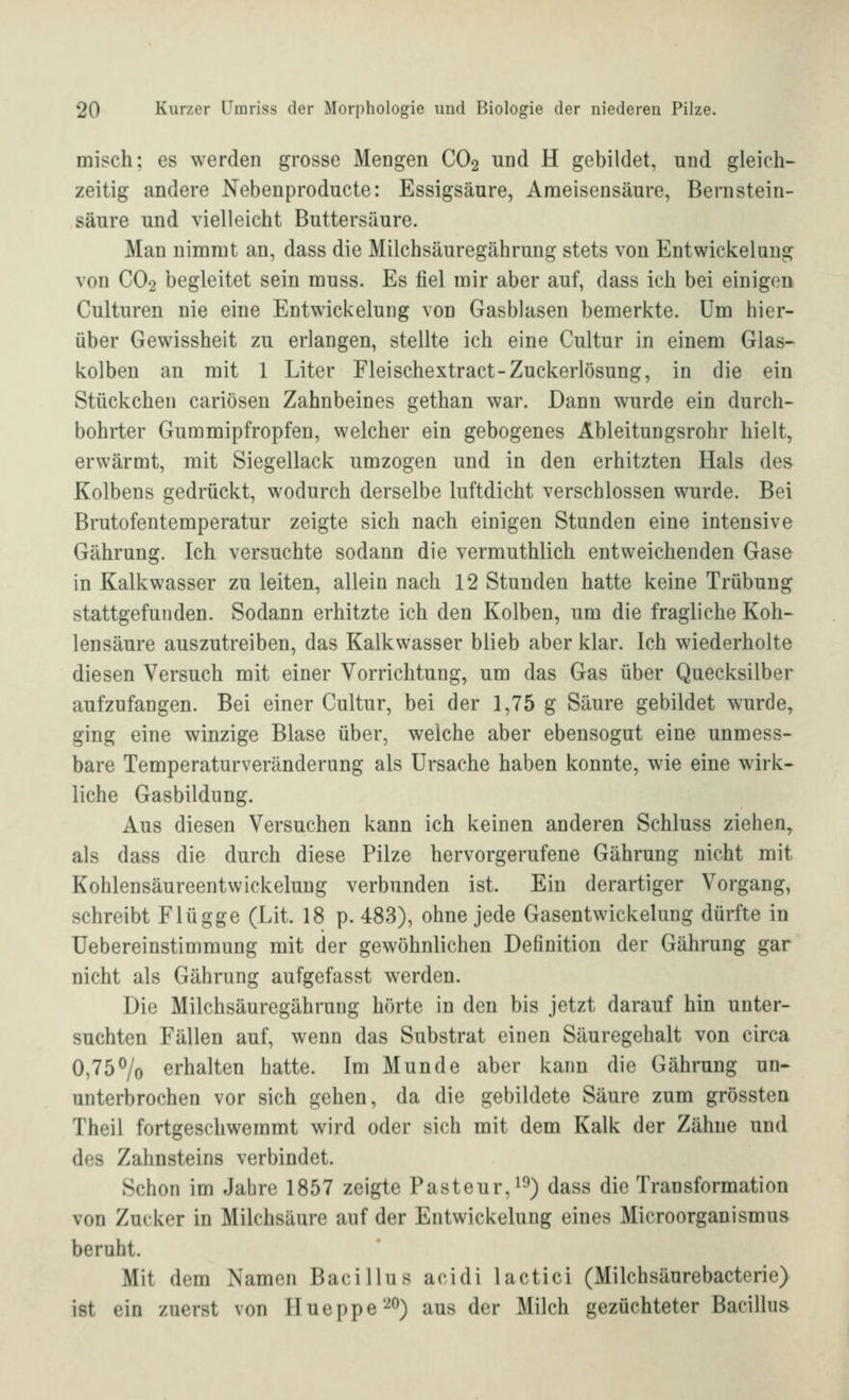 misch; es werden grosse Mengen CO2 und H gebildet, und gleich- zeitig andere Nebenproducte: Essigsäure, Ameisensäure, Bernstein- säure und vielleicht Buttersäure. Man nimmt an, dass die Milchsäuregährung stets von Entwickelung von CO2 begleitet sein muss. Es fiel mir aber auf, dass ich bei einigen Culturen nie eine Entwickelung von Gasblasen bemerkte. Um hier- über Gewissheit zu erlangen, stellte ich eine Cultur in einem Glas- kolben an mit 1 Liter Fleischextract-Zuckerlösung, in die ein Stückchen cariösen Zahnbeines gethan war. Dann wurde ein durch- bohrter Gummipfropfen, welcher ein gebogenes Ableitungsrohr hielt, erwärmt, mit Siegellack umzogen und in den erhitzten Hals des Kolbens gedrückt, wodurch derselbe luftdicht verschlossen wurde. Bei Brutofentemperatur zeigte sich nach einigen Stunden eine intensive Gährung. Ich versuchte sodann die vermuthlich entweichenden Gase in Kalkwasser zu leiten, allein nach 12 Stunden hatte keine Trübung stattgefunden. Sodann erhitzte ich den Kolben, um die fragliche Koh- lensäure auszutreiben, das Kalkwasser blieb aber klar. Ich wiederholte diesen Versuch mit einer Vorrichtung, um das Gas über Quecksilber aufzufangen. Bei einer Cultur, bei der 1,75 g Säure gebildet wurde, ging eine winzige Blase über, welche aber ebensogut eine unmess- bare Temperaturveränderung als Ursache haben konnte, wie eine wirk- liche Gasbildung. Aus diesen Versuchen kann ich keinen anderen Schluss ziehen^ als dass die durch diese Pilze hervorgerufene Gährung nicht mit Kohlensäureentwickelung verbunden ist. Ein derartiger Vorgang, schreibt Flügge (Lit. 18 p. 483), ohne jede Gasentwickelung dürfte in Uebereinstimmung mit der gewöhnlichen Definition der Gährung gar nicht als Gährung aufgefasst werden. Die Milchsäuregährung hörte in den bis jetzt darauf hin unter- suchten Fällen auf, wenn das Substrat einen Säuregehalt von circa 0,75% erhalten hatte. Im Munde aber kann die Gährung un- unterbrochen vor sich gehen, da die gebildete Säure zum grössten Theil fortgeschwemmt wird oder sich mit dem Kalk der Zähne und des Zahnsteins verbindet. Schon im Jahre 1857 zeigte Pasteur,^^) dass die Transformation von Zucker in Milchsäure auf der Entwickelung eines Microorganismus beruht. Mit dem Namen Bacillus acidi lactici (Milchsäurebacterie) ist ein zuerst von Hueppe'-^^) aus der Milch gezüchteter Bacillus
