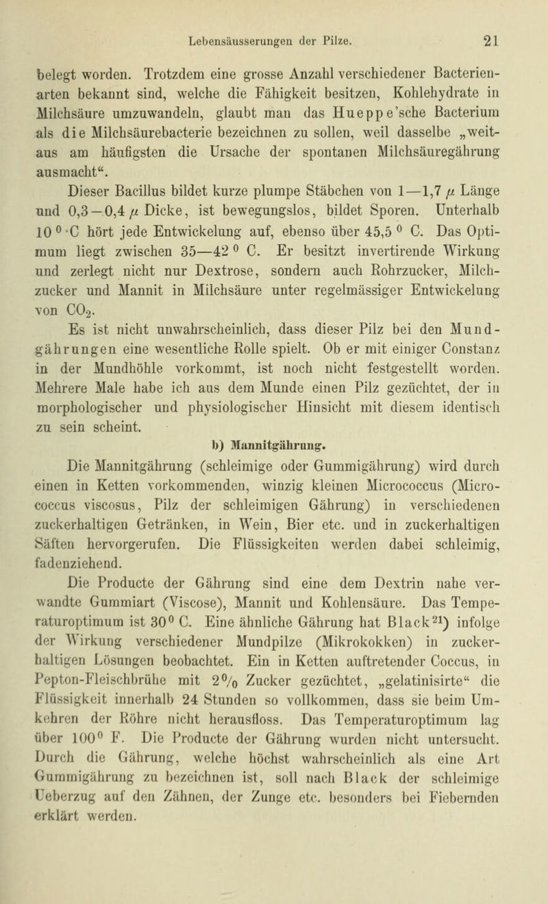 belegt worden. Trotzdem eine grosse Anzahl verschiedener Bacterieu- arten bekannt sind, welche die Fähigkeit besitzen, Kohlehydrate in Milchsäure umzuwandeln, glaubt man das Hueppe'sche Bacterium als die Milchsäurebacterie bezeichnen zu sollen, weil dasselbe „weit- aus am häufigsten die Ursache der spontanen Milchsäuregährung ausmacht. Dieser Bacillus bildet kurze plumpe Stäbchen von 1—1,7 fi Länge und 0,3 —0,4 ^ Dicke, ist bew^egungslos, bildet Sporen. Unterhalb 10 ^ C hört jede Entwickelung auf, ebenso über 45,5 ^ C. Das Opti- mum liegt zwischen 35—42 ^ C. Er besitzt invertirende Wirkung und zerlegt nicht nur Dextrose, sondern auch Rohrzucker, Milch- zucker und Mannit in Milchsäure unter regelmässiger Entwickelung von CO2. Es ist nicht unwahrscheinlich, dass dieser Pilz bei den Mund- gährungen eine wesentliche Rolle spielt. Ob er mit einiger Constanz in der Mundhöhle vorkommt, ist noch nicht festgestellt worden. Mehrere Male habe ich aus dem Munde einen Pilz gezüchtet, der in morphologischer und physiologischer Hinsicht mit diesem identisch zu sein scheint. b) Maimitgährang'. Die Mannitgährung (schleimige oder Gummigährung) wird durch einen in Ketten vorkommenden, winzig kleinen Micrococcus (Micro- coccus viscosus, Pilz der schleimigen Gährung) in verschiedenen zuckerhaltigen Getränken, in Wein, Bier etc. und in zuckerhaltigen Säften hervorgerufen. Die Flüssigkeiten werden dabei schleimig, fadenziehend. Die Producte der Gährung sind eine dem Dextrin nahe ver- wandte Gummiart (Viscose), Mannit und Kohlensäure. Das Tempe- raturoptimum ist 30^ C. Eine ähnliche Gährung hat Black^i) infolge der Wirkung verschiedener Mundpilze (Mikrokokken) in zucker- haltigen Lösungen beobachtet. Ein in Ketten auftretender Coccus, in Pepton-Fleischbrühe mit 2% Zucker gezüchtet, „gelatinisirte die Flüssigkeit innerhalb 24 Stunden so vollkommen, dass sie beim Um- kehren der Röhre nicht herausHoss. Das Temperaturoptimum lag über 100^ F. Die Producte der Gährung wurden nicht untersucht. Durch die Gährung, welche höchst wahrscheinlich als eine Art Gummigährung zu bezeichnen ist, soll nach Black der schleimige Ueberzug auf den Zähnen, der Zunge etc. besonders bei Fiebernden erklärt werden.