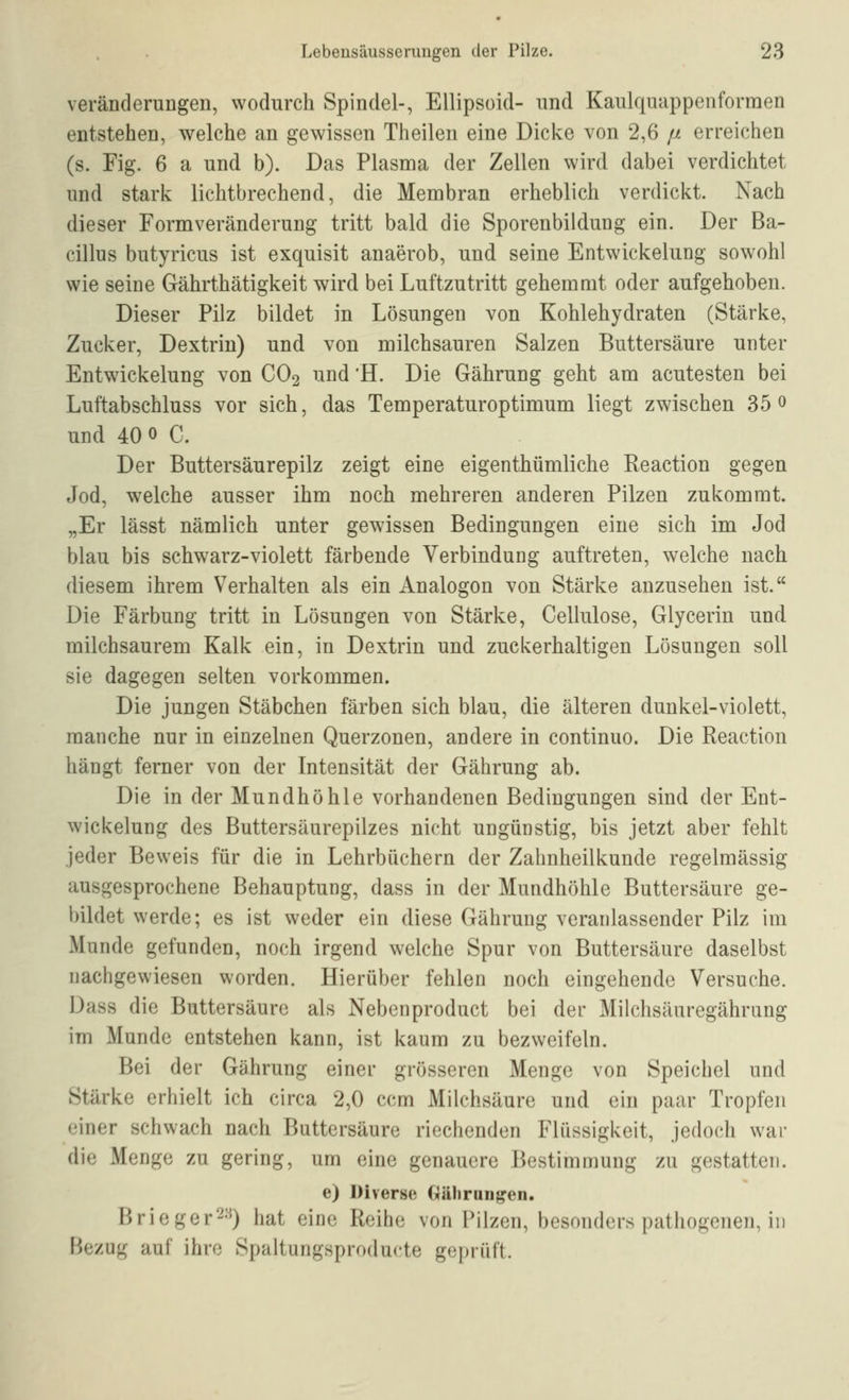 Veränderungen, wodurch Spindel-, Ellipsoid- und Kaulquappenformen entstehen, welche an gewissen Theilen eine Dicke von 2,6 [i erreichen (s. Fig. 6 a und b). Das Plasma der Zellen wird dabei verdichtet und stark lichtbrechend, die Membran erheblich verdickt. Nach dieser Formveränderung tritt bald die Sporenbildung ein. Der Ba- cillus butyricus ist exquisit anaerob, und seine Entwickelung sowohl wie seine Gährthätigkeit wird bei Luftzutritt gehemmt oder aufgehoben. Dieser Pilz bildet in Lösungen von Kohlehydraten (Stärke, Zucker, Dextrin) und von milchsauren Salzen Buttersäure unter Entwickelung von CO2 und 'H. Die Gährung geht am acutesten bei Luftabschluss vor sich, das Temperaturoptimum liegt zwischen 35 0 und 40 0 C. Der Buttersäurepilz zeigt eine eigenthümliche Reaction gegen Jod, welche ausser ihm noch mehreren anderen Pilzen zukommt. „Er lässt nämlich unter gewissen Bedingungen eine sich im Jod blau bis schwarz-violett färbende Verbindung auftreten, welche nach diesem ihrem Verhalten als ein Analogon von Stärke anzusehen ist. Die Färbung tritt in Lösungen von Stärke, Cellulose, Glycerin und milchsaurem Kalk ein, in Dextrin und zuckerhaltigen Lösungen soll sie dagegen selten vorkommen. Die jungen Stäbchen färben sich blau, die älteren dunkel-violett, manche nur in einzelnen Querzonen, andere in continuo. Die Reaction hängt ferner von der Intensität der Gährung ab. Die in der Mundhöhle vorhandenen Bedingungen sind der Ent- wickelung des Buttersäurepilzes nicht ungünstig, bis jetzt aber fehlt jeder Beweis für die in Lehrbüchern der Zahnheilkunde regelmässig ausgesprochene Behauptung, dass in der Mundhöhle Buttersäure ge- bildet werde; es ist weder ein diese Gährung veranlassender Pilz im Munde gefunden, noch irgend welche Spur von Buttersäure daselbst nachgewiesen worden. Hierüber fehlen noch eingehende Versuche. Dass die Buttersäure als Nebenproduct bei der Milchsäuregähriing im Munde entstehen kann, ist kaum zu bezweifeln. Bei der Gährung einer grösseren Menge von Speichel und Stärke erhielt ich circa 2,0 ccm Milchsäure und ein paar Tropfen einer schwach nach Buttersäure riechenden Flüssigkeit, jedoch war die Menge zu gering, um eine genauere Bestimmung zu gestatten. e) Diverse (xiUirnn^en. Brieger-^^) hat eine Reihe von Pilzen, besonders pathogenen, in Bezug auf ihre Spaltungsproducte geprüft.