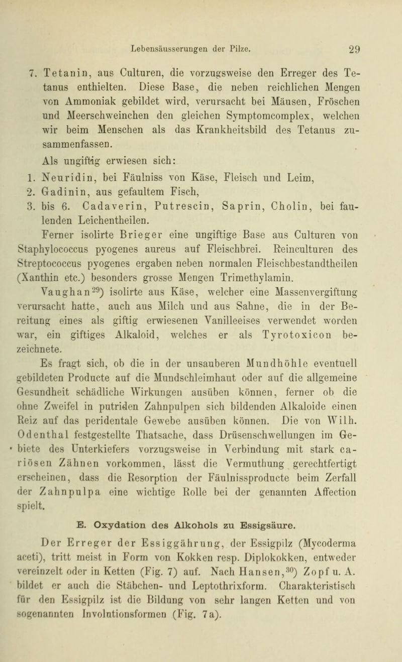 7. Tetanin, aus Culturen, die vorzugsweise den Erreger des Te- taous enthielten. Diese Base, die neben reichlichen Mengen von Ammoniak gebildet wird, verursacht bei Mäusen, Fröschen und Meerschweinchen den gleichen Symptomcomplex, welchen wir beim Menschen als das Krankheitsbild des Tetanus zu- sammenfassen. Als ungiftig erwiesen sich: 1. Neuridin, bei Fäulniss von Käse, Fleisch und Leim, 2. Gadinin, aus gefaultem Fisch, 3. bis 6. Cadaverin, Putrescin, Saprin, Cholin, bei fau- lenden Leichen theilen. Ferner isolirte Brieger eine ungiftige Base aus Culturen von Staphylococcus pyogenes aureus auf Fleischbrei. Reinculturen des Streptococcus pyogenes ergaben neben normalen Fleischbestandtheilen (Xanthin etc.) besonders grosse Mengen Trimethylamin. Vaughan^^) isolirte aus Käse, welcher eine Massenvergiftung verursacht hatte, auch aus Milch und aus Sahne, die in der Be- reitung eines als giftig erwiesenen Vanilleeises verwendet worden war, ein giftiges Alkaloid, welches er als Tyrotoxicon be- zeichnete. Es fragt sich, ob die in der unsauberen Mundhöhle eventuell gebildeten Producte auf die Mundschleimhaut oder auf die allgemeine Gesundheit schädliche Wirkungen ausüben können, ferner ob die ohne Zweifel in putriden Zahnpulpen sich bildenden Alkaloide einen Reiz auf das peridentale Gewebe ausüben können. Die von Wilh. Odenthal festgestellte Thatsache, dass Drüsenschwellungen im Ge- biete des Unterkiefers vorzugsweise in Verbindung mit stark ca- rlösen Zähnen vorkommen, lässt die Vermuthung gerechtfertigt erscheinen, dass die Resorption der Fäulnissproducte beim Zerfall der Zahnpulpa eine wichtige Rolle bei der genannten Affection spielt. E. Oxydation des Alkohols zu Essigsäure. Der Erreger der Essiggährung, der Essigpilz (Mycoderma aceti), tritt meist in Form von Kokken resp. Diplokokken, entweder vereinzelt oder in Ketten (Fig. 7) auf. Nach Hansen,3^) Zopf u. A. bildet er auch die Stäbchen- und Leptothrixform. Charakteristisch für den Essigpilz ist die Bildung von sehr langen Ketten und von sogenannten Involutionsformen (Fig. 7a).