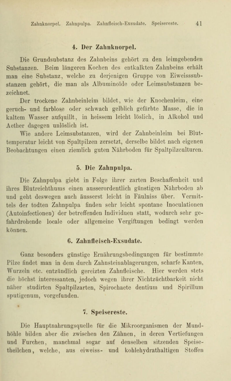 4. Der Zalinknorpel. Die Grundsubstanz des Zahnbeins gehört zu den leimgebenden Substanzen. Beim längereu Kochen des entkalkten Zahnbeins erhält man eine Substanz, welche zu derjenigen Gruppe von Eiweisssub- stanzen gehört, die man als Albuminoide oder Leimsubstanzen be- zeichnet. Der trockene Zahnbeinleim bildet, wie der Knochenleim, eine geruch- und farblose oder schwach gelblich gefärbte Masse, die in kaltem Wasser aufquillt, in heissem leicht löslich, in Alkohol und Aether dagegen unlöslich ist. Wie andere Leimsubstanzen, wird der Zahnbeinleim bei Blut- temperatur leicht von Spaltpilzen zersetzt, derselbe bildet nach eigenen Beobachtungen einen ziemlich guten Nährboden für Spaltpilzculturen. 5. Die Zahnpulpa. Die Zahnpulpa giebt in Folge ihrer zarten ßeschaifenheit und ihres Blutreichthums einen ausserordentlich günstigen Nährboden ab und geht deswegen auch äusserst leicht in Fäulniss über. Vermit- tels der todten Zahnpulpa finden sehr leicht spontane Inoculationen (Autoinfectionen) der betreffenden Individuen statt, wodurch sehr ge- fahrdrohende locale oder allgemeine Vergiftungen bedingt werden können. 6. Zahnfleisch-Exsudate. Ganz besonders günstige Ernährungsbedingungen für bestimmte Pilze findet man in dem durch Zahnsteinablagerungen, scharfe Kanten, Wurzeln etc. entzündlich gereizten Zahnfleische. Hier werden stets die höchst interessanten, jedoch wegen ihrer Nichtzüchtbarkcit nicht näher studirten Spaltpilzarten, Spirochaete dentium und Spirillum sputigenum, vorgefunden. 7. Speisereste. Die Hauptnahrungsquelle für die Mikroorganismen der Mund- höhle bilden aber die zwischen den Zähnen, in deren Vertiefungen und Furchen, manchmal sogar auf denselben sitzenden Speise- theilchen, welche, aus eiweiss- und kohlchydrathaltigen Stoffen