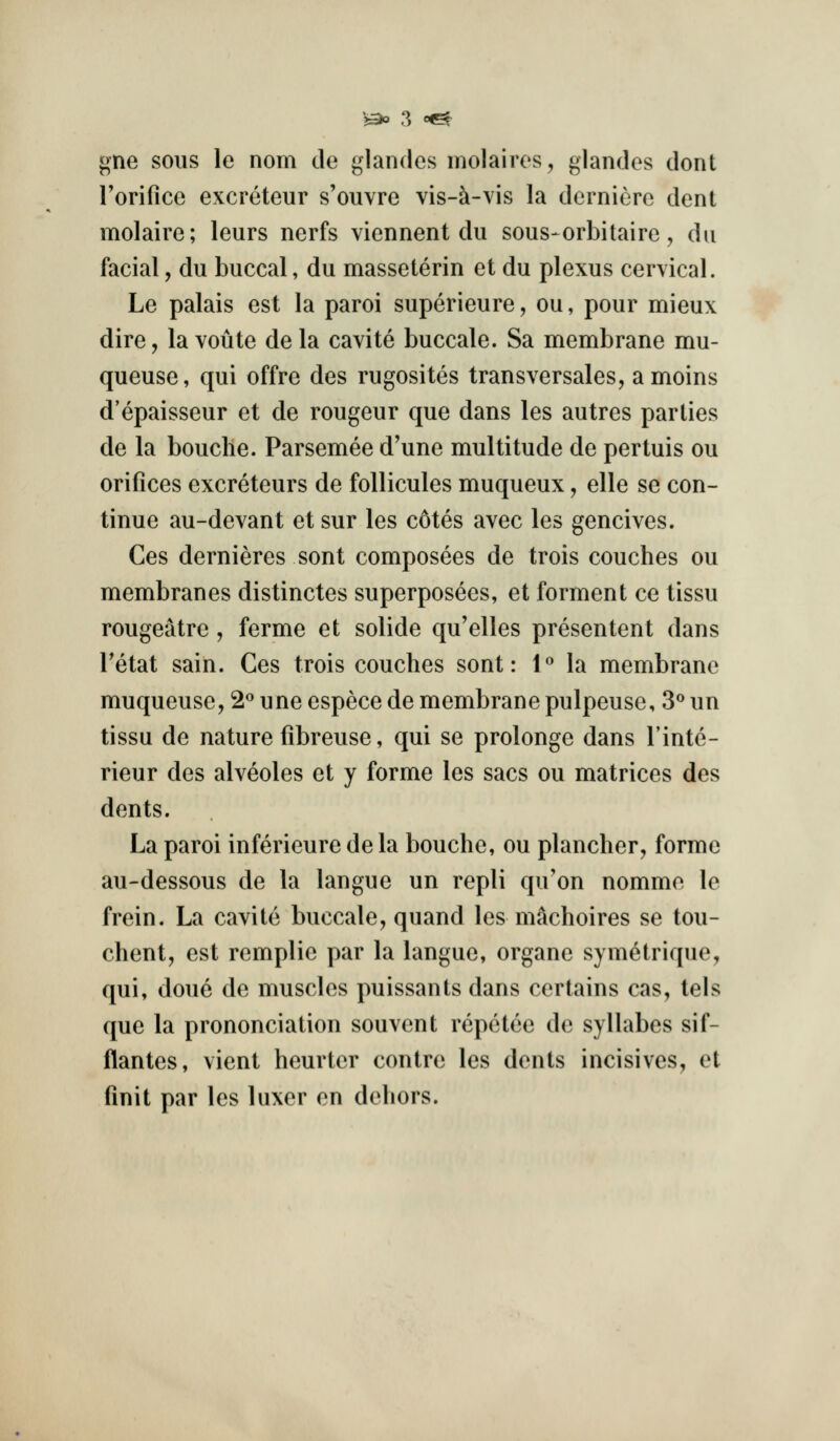 gne sous le nom de glandes molairos, glandos dont rorifice excreteur s'ouvre vis-^-vis la derniere dent molaire; leurs nerfs viennent du sous-orbitaire, dii facial, du buccal, du masseterin et du plexus cervical. Le palais est la parol superieure, ou, pour mieux dire, la voute de la cavite buccale. Sa membrane mu- queuse, qui offre des rugosites transversales, amoins d'epaisseur et de rongeur que dans les autres parlies de la bouche. Parsemee d'une multitude de pertuis ou orifices excreteurs de follicules muqueux, elle se con- tinue au-devant et sur les c6tes avec les gencives. Ces dernieres sont composees de trois couches ou membranes distinctes superposees, et ferment ce tissu rougeatre, ferme et solide qu'elles presentent dans Tetat sain. Ces trois couches sont: 1*^ la membrane muqueuse, 2<* une espece de membrane pulpeuse, 3^ un tissu de nature fibreuse, qui se prolonge dans I'inte- rieur des alveoles et y forme les sacs ou matrices des dents. La parol inferleure de la bouche, ou plancher, forme au-dessous de la langue un repli qu'on nomme le frein. La cavite buccale, quand les m^choires se tou- chent, est remplle par la langue, organe symetrique, qui, done de muscles pulssants dans certains cas, tels que la prononciation souvent repctce de syllabes sif- flantes, vient heurter centre les dents Inclsives, et iinit par les luxer en dehors.