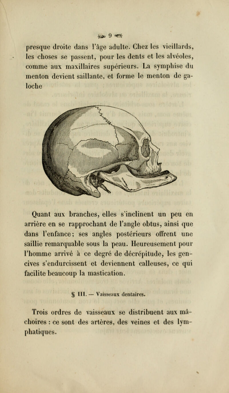 presque droite dans Fage adulte. Chez les vieillards, les choses se passcnt, pour les dents et les alveoles, comme aux maxillaires superieurs. La symphise du menton devient saillante, et forme le men ton de ga- loche Quant aux branches, elles s'inclinent un peu en arriere en se rapprochant de Tangle obtus, ainsi que dans Tenfance; ses angles posterieurs offrent une saillie remarquable sous la peau. Heureusement pour Thomme arrive a ce degre de decrepitude, les gen- cives s'endurcissent et deviennent calleuses, ce qui facilite beaucoup la mastication. § III.— Vaisseaux dentaires. Trois ordres de vaisseaux se distribuent aux ma- choires : ce sont des arte res, des veines et des lym- phatiques.