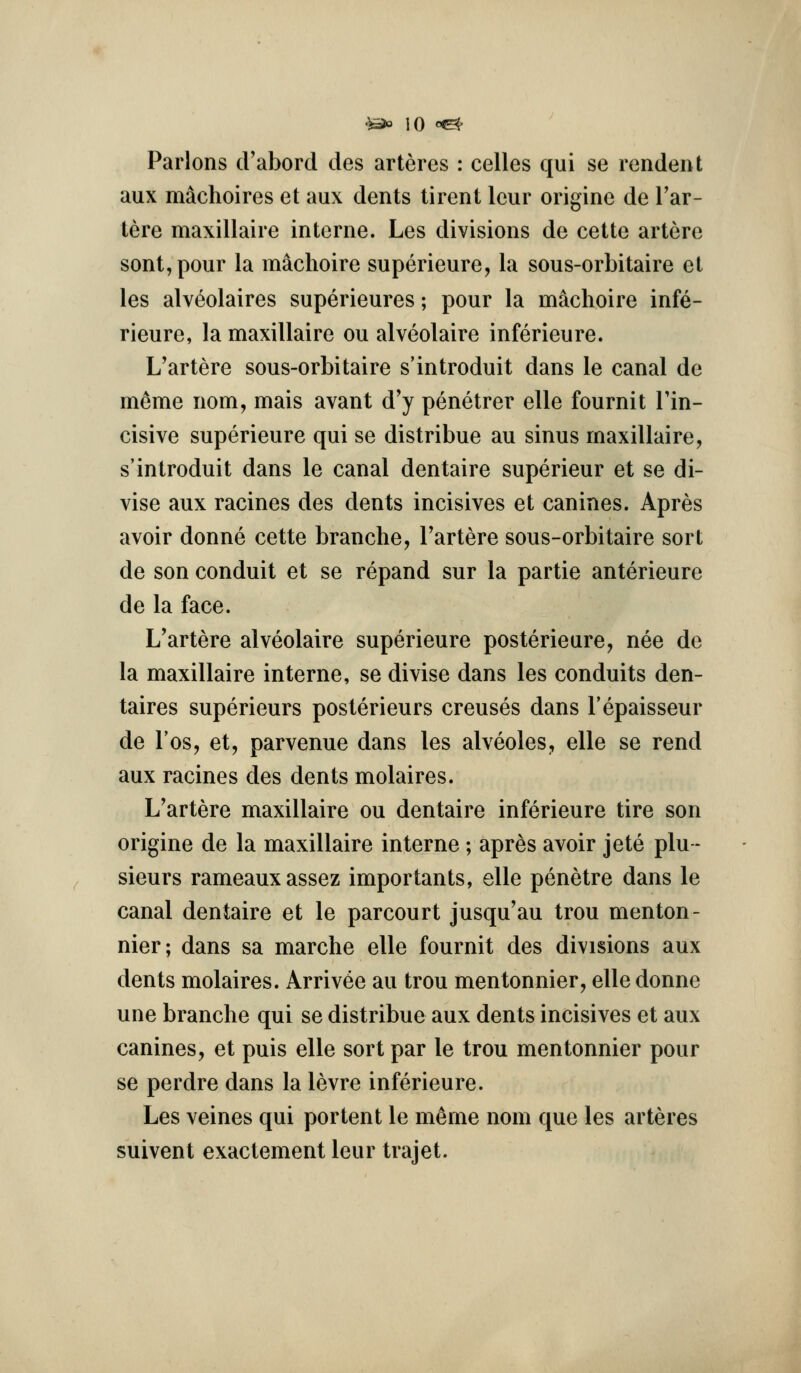 Parlons d'abord des arteres : celles qui se rendent aux machoires et aux dents tirent Icur origine de I'ar- tere maxillaire interne. Les divisions de cette artere sont,pour la machoire superieure, la sous-orbitaire ct les alveolaires superieures; pour la machoire infe- rieure, la maxillaire ou alveolaire inferieure. L'artere sous-orbitaire s'introduit dans le canal de meme nom, mais avant d'y penetrer elle fournit Tin- cisive superieure qui se distribue au sinus maxillaire, s'introduit dans le canal dentaire superieur et se di- vise aux racines des dents incisives et canines. Apres avoir donne cette branche, Tartere sous-orbitaire sort de son conduit et se repand sur la partie anterieure de la face. L'artere alveolaire superieure posterieure, nee de la maxillaire interne, se divise dans les conduits den- taires superieurs posterieurs creuses dans I'epaisseur de I'os, et, parvenue dans les alveoles, elle se rend aux racines des dents molaires. L'artere maxillaire ou dentaire inferieure tire son origine de la maxillaire interne; aprds avoir jete plu - sieurs rameauxassez importants, elle penetre dans le canal dentaire et le parcourt jusqu'au trou menton- nier; dans sa marche elle fournit des divisions aux dents molaires. Arrivee au trou mentonnier, elle donne une branche qui se distribue aux dents incisives et aux canines, et puis elle sort par le trou mentonnier pour se perdre dans la levre inferieure. Les veines qui portent le meme nom que les arteres suivent exactement leur trajet.