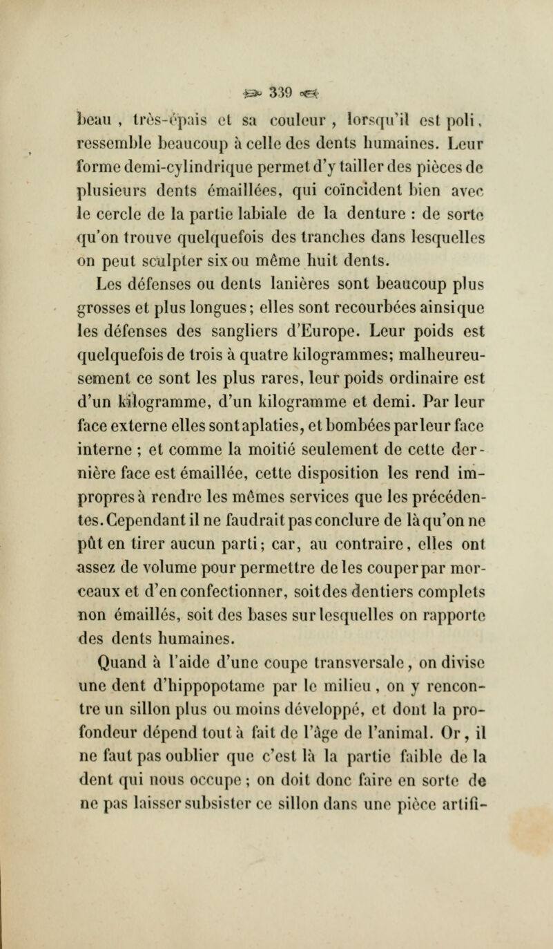 Ijeuu , lr(js-(''pais et sa couloiir , lo^^;qll'il est poll, ressemble beaucoup a celle des dents Immaines. Leur forme demi-cylindrique permet d'y tailler des pieces dc pliisieurs dents emaillces, qui coincident hien avec le cercle de la partie labiale de la denture : de sorte qu'on trouve quelquefois des tranches dans lesquelles on peut sculptor sixou m^me huit dents. Les defenses ou dents lanieres sont beaucoup plus grosses et plus tongues; elles sont recourbces ainsique les defenses des sangliers d'Europe. Leur poids est quelquefois de trois a quatre kilogrammes; mallieureu- sement ce sont les plus rares, leur poids ordinaire est d'un kilogramme, d'un kilogramme et demi. Par leur face externe elles sont aplaties, et bombees parlour face interne ; et comme la moitie seulement de cette der- niere face est emaillee, cette disposition les rend im- propresa rendre les m6mes services que les preceden- tes.Cependant il ne faudrait pas conclure de la qu'on nc put en tirer aucun parti; car, au contraire, elles ont assez de volume pour permettre de les couperpar mor- ceaux et d'en confectionner, soitdes dentiers complets non emaillcs, soitdes bases surlesquelles on rapportc des dents humaines. Quand a I'aide d'une coupe transversale, on divise une dent d'hippopotame par le milieu, on y rencon- tre un sillon plus ou moins developpe, ct dont la pro- fondeur depend tout a fait de Tage de Tanimal. Or, il ne faut pas oublier que c'est la la partie faible de la dent qui nous occupe; on doit done faire en sorte de nc pas laissersubsister ce sillon dans une pi^ce arlifi-