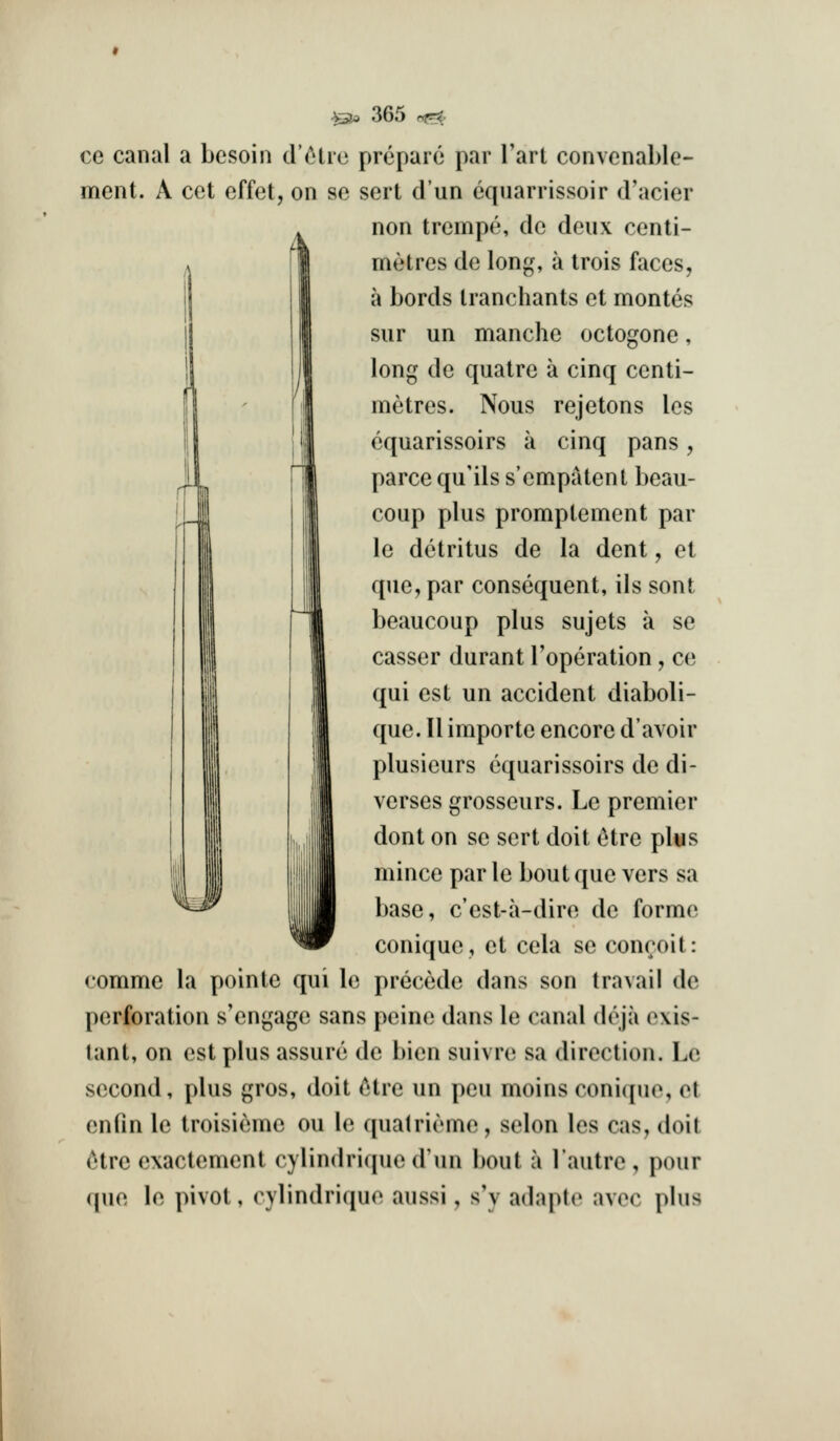 ce canal a bcsoin d'c^tre prepare par Tart convenable- ment. A cet effet, on se sert d'un equarrissoir d'acier non trempe, dc deux centi- metres de long, a trois faces, a bords tranchants et montes siir un manche octogone, long de quatre a cinq centi- metres. Nous rejetons les equarissoirs a cinq pans, parce qu'ils s'empatent beau- coup plus promptement par le detritus de la dent, et que, par consequent, ils sont beaucoup plus sujets a se casser durant I'operation, ce qui est un accident diaboli- que. 11 importe encore d'avoir plusieurs equarissoirs de di- verses grosseurs. Le premier dont on se sert doit ^tre plys mince par le bout que vers sa base, c'est-a-dire de forme conique, et cela se concoit: comme la pointe qui le precede dans son travail de perforation s'engage sans peine dans le canal deja exis- lant, on est plus assure de bien suivre sa direction. Le second, plus gros, doit ^tre un peu moins conique, ct enfin le troisieme ou le qualrieme, selon les cas, doit (^tre exactement cylindricpie dun bout a I'autre , pour que le pivot, cylindrique aussi, s'y adapte avec plus