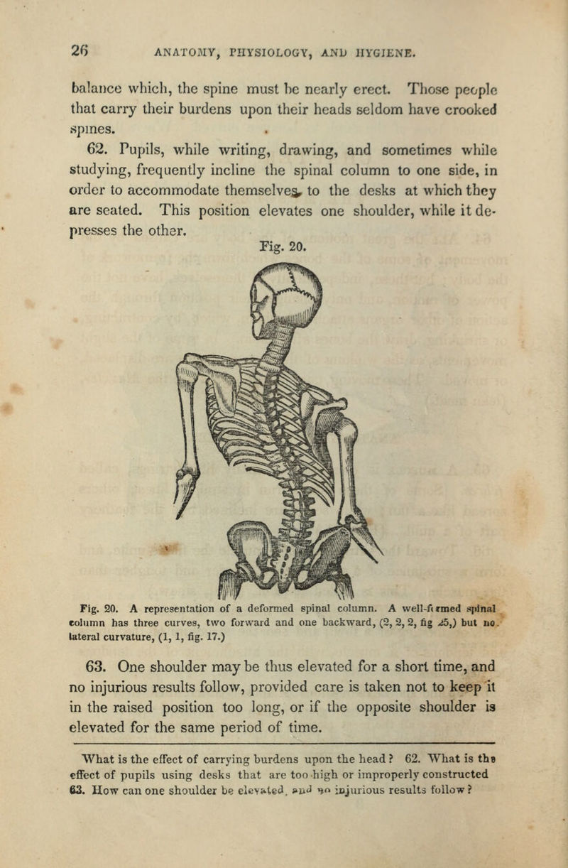 balai)ce which, the spine must be nearly erect. Those people that carry their burdens upon their heads seldom have crooked .spines. 62. Pupils, while writing, drawing, and sometimes while studying, frequently incline the spinal column to one side, in order to accommodate themselves to the desks at which they are seated. This position elevates one shoulder, while it de- presses the other. Fig. 20. -jfejk Fig. 20. A representation of a deformed spinal column. A vvell-f( rmed spinal column has three curves, two forward and one backward, (2, 2, 2, fig ^5,) but no. lateral curvature, (1,1, fig. 17.) 63. One shoulder may be thus elevated for a short time, and no injurious results follow, provided care is taken not to keep it in the raised position too long, or if the opposite shoulder is elevated for the same period of time. What is the effect of carrying burdens upon the head ? 62. What is the effect of pupils using desks that are too high or improperly constructed 63. How can one shoulder be elevj^ted. »n>i nn iojurious results follow ?