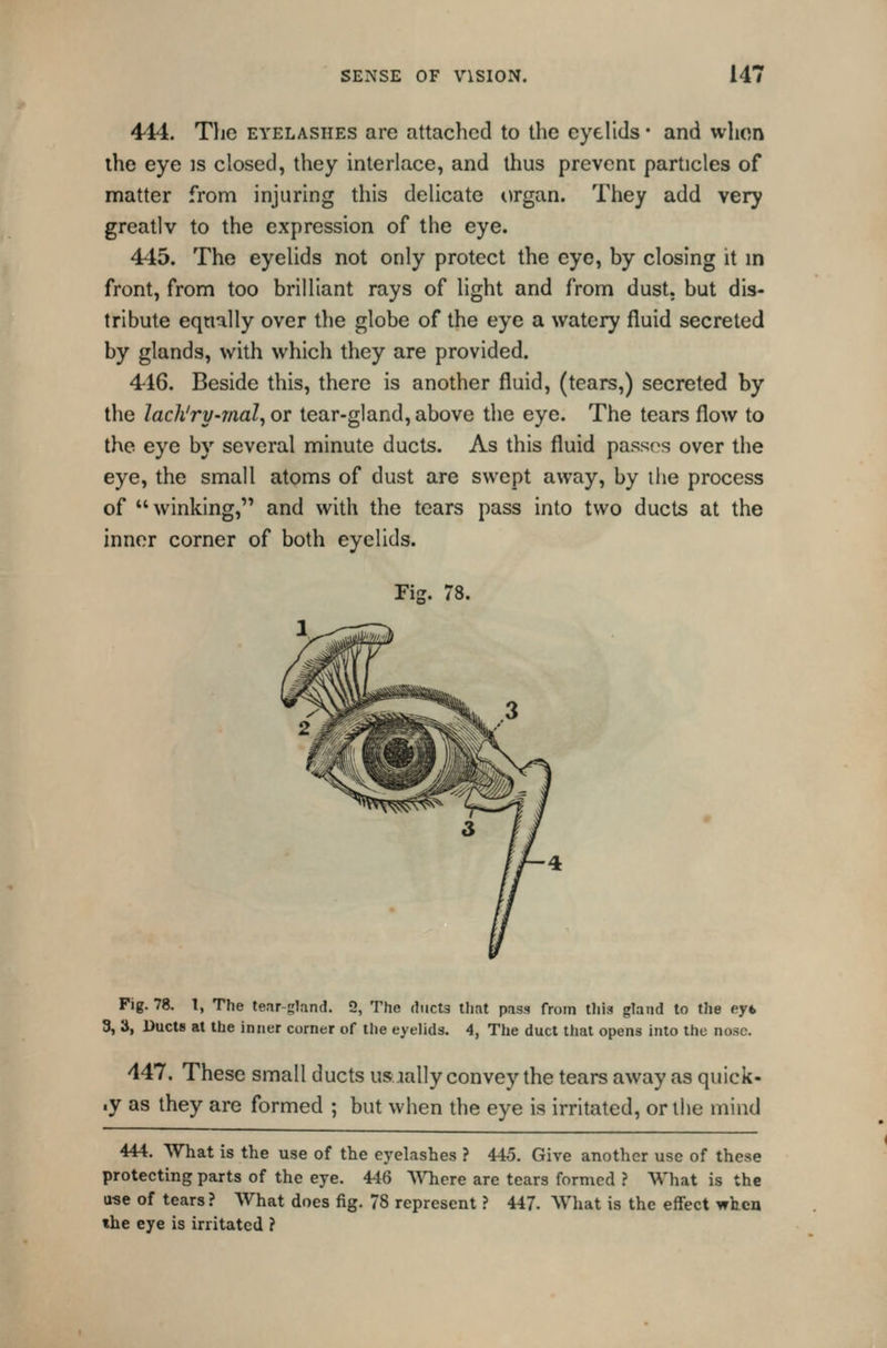 414. Tlie EYELASHES are attached to the eyelids • and whon the eye is closed, they interlace, and thus prevent particles of matter from injuring this delicate organ. They add very greatlv to the expression of the eye. 445. The eyelids not only protect the eye, by closing it m front, from too brilliant rays of light and from dust, but dis- tribute equally over the globe of the eye a watery fluid secreted by glands, with which they are provided. 416. Beside this, there is another fluid, (tears,) secreted by the lach'ry-mal^ or tear-gland, above the eye. The tears flow to the eye by several minute ducts. As this fluid passes over the eye, the small atoms of dust are swept away, by the process of winking, and with the tears pass into two ducts at the inner corner of both eyelids. Fig. 78. Fig. 78. I, The tenr-gland. 2, The ducts that pass from tliis gland to the eyk 3, 3, Ducts at the inner corner of the eyelids. 4, The duct that opens into the nose. 447. These small ducts usaally convey the tears away as quick- .y as they are formed ; but when the eye is irritated, or the mind 444. What is the use of the eyelashes ? 445. Give another use of these protecting parts of the eye. 446 ^\'Tiere are tears formed ? What is the use of tears ? What does fig. 78 represent ? 447. What is the effect when the eye is irritated ?