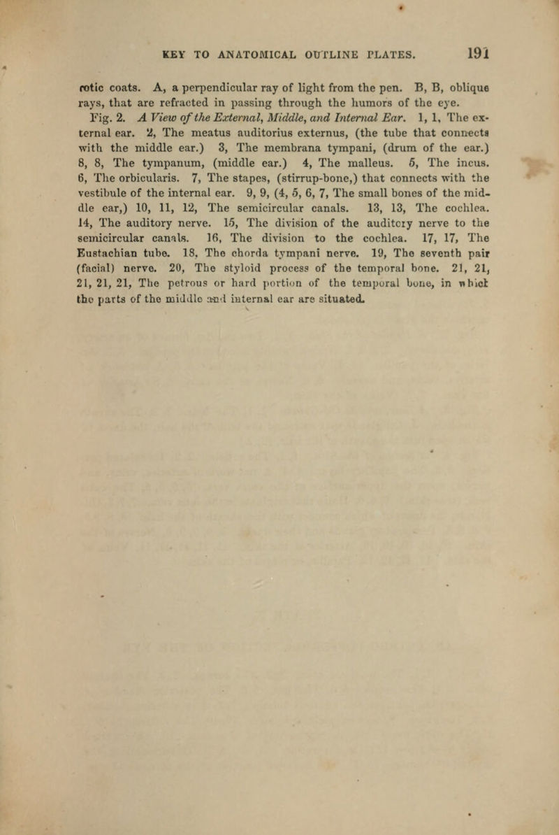 fotic coats. A, a perpendicular ray of light from the pen. B, B, oblique rays, that are refracted in passing through the liumors of the eye. Fig. 2. A View of the External, Middle, a7id Internal Ear. 1, 1, The ex- ternal ear. 2, The meatus auditorius externus, (the tube that connects with the middle ear.) 3, The membrana tympani, (drum of the ear.) 8, 8, The tympanum, (middle ear.) 4, The malleus. 6, The incus. 6, The orbicularis. 7, The stapes, (stirrup-bone,) that connects with the vestibule of the internal ear. 9, 9, (4, 5, 6, 7, The small bones of the mid- dle ear,) 10, 11, 12, The semicircular canals. 13, 13, The cochlea. 14, The auditory nerve. 1-5, The division of the auditcry nerve to the semicircular canals. 16, The division to the cochlea. 17, 17, The Eustachian tube. 18, The chorda tympani nerve. 19, The seventh pair (facial) nerve. 20, The styloid process of the temporal bone. 21, 21, 21, 21, 21, The petrous or hard portion of the temporal bona, in vthiol: the parts of the middle a^id internal ear are situated.