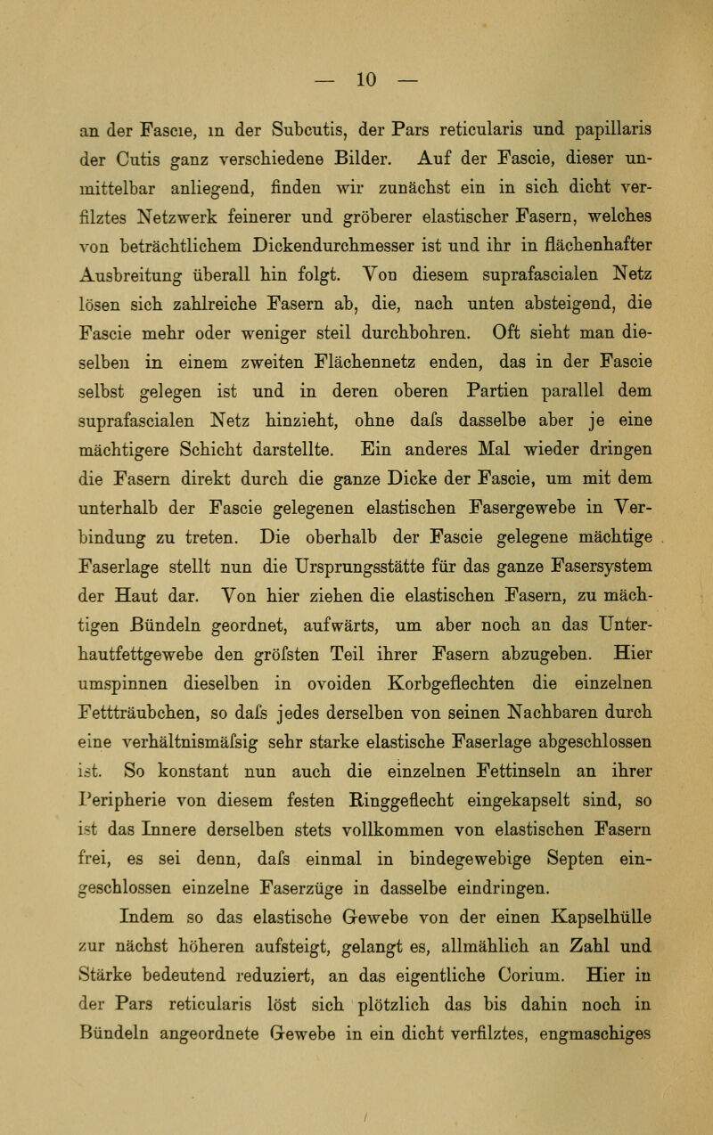 an der Fascie, m der Subcutis, der Pars reticularis und papillaris der Cutis ganz verschiedene Bilder. Auf der Fascie, dieser un- mittelbar anliegend, finden wir zunächst ein in sich dicht ver- filztes Netzwerk feinerer und gröberer elastischer Pasern, welches von beträchtlichem Dickendurchmesser ist und ihr in flächenhafter Ausbreitung überall hin folgt. Von diesem suprafascialen Netz lösen sich zahlreiche Pasern ab, die, nach unten absteigend, die Fascie mehr oder weniger steil durchbohren. Oft sieht man die- selben in einem zweiten Plächennetz enden, das in der Fascie selbst gelegen ist und in deren oberen Partien parallel dem suprafascialen Netz hinzieht, ohne dafs dasselbe aber je eine mächtigere Schicht darstellte. Ein anderes Mal wieder dringen die Fasern direkt durch die ganze Dicke der Fascie, um mit dem unterhalb der Fascie gelegenen elastischen Fasergewebe in Ver- bindung zu treten. Die oberhalb der Fascie gelegene mächtige Faserlage stellt nun die Ursprungsstätte für das ganze Fasersystem der Haut dar. Von hier ziehen die elastischen Fasern, zu mäch- tigen Bündeln geordnet, aufwärts, um aber noch an das Unter- hautfettgewebe den gröfsten Teil ihrer Fasern abzugeben. Hier umspinnen dieselben in ovoiden Korbgeflechten die einzelnen Fettträubchen, so dafs jedes derselben von seinen Nachbaren durch eine verhältnismäfsig sehr starke elastische Faserlage abgeschlossen ist. So konstant nun auch die einzelnen Fettinseln an ihrer I^eripherie von diesem festen Ringgeflecht eingekapselt sind, so ist das Innere derselben stets vollkommen von elastischen Fasern frei, es sei denn, dafs einmal in bindegewebige Septen ein- geschlossen einzelne Paserzüge in dasselbe eindringen. Indem so das elastische Gewebe von der einen Kapselhülle zur nächst höheren aufsteigt, gelangt es, allmählich an Zahl und Stärke bedeutend reduziert, an das eigentliche Corium. Hier in der Pars reticularis löst sich plötzlich das bis dahin noch in Bündeln angeordnete Gewebe in ein dicht verfilztes, engmaschiges